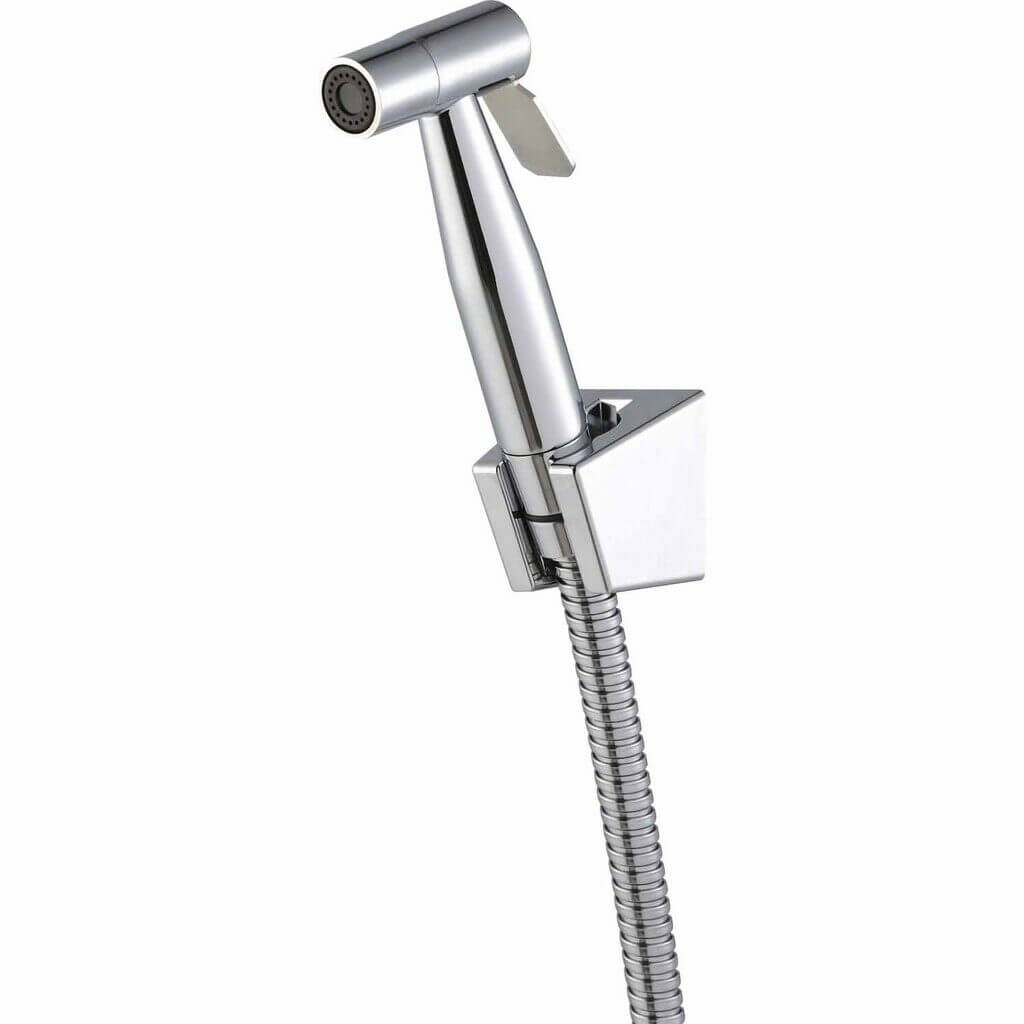Euro-style Personal Hygiene With the Bidet