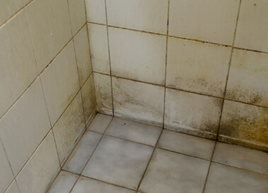 Bathroom Tiles Accumulation Pathogens
