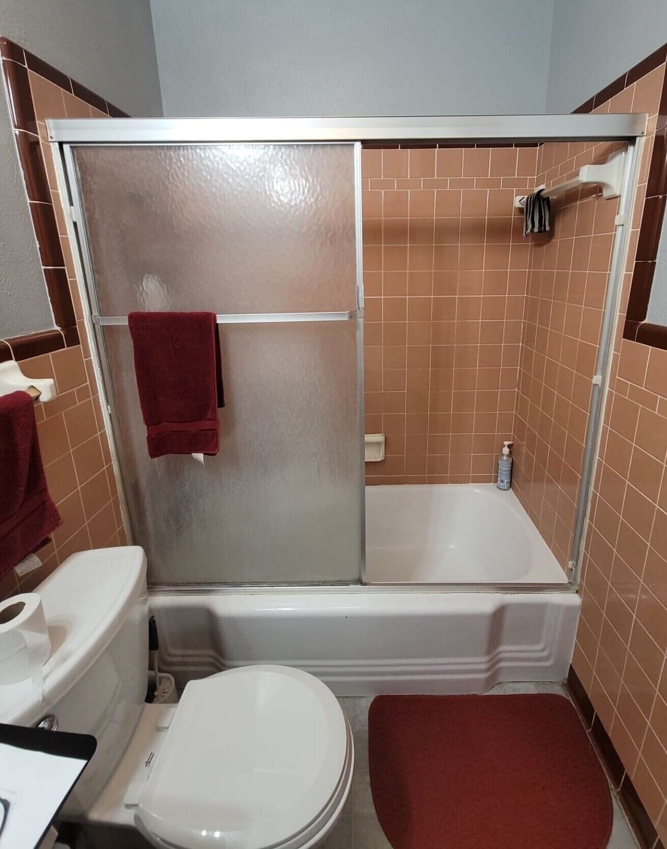 Before Bath Remodel