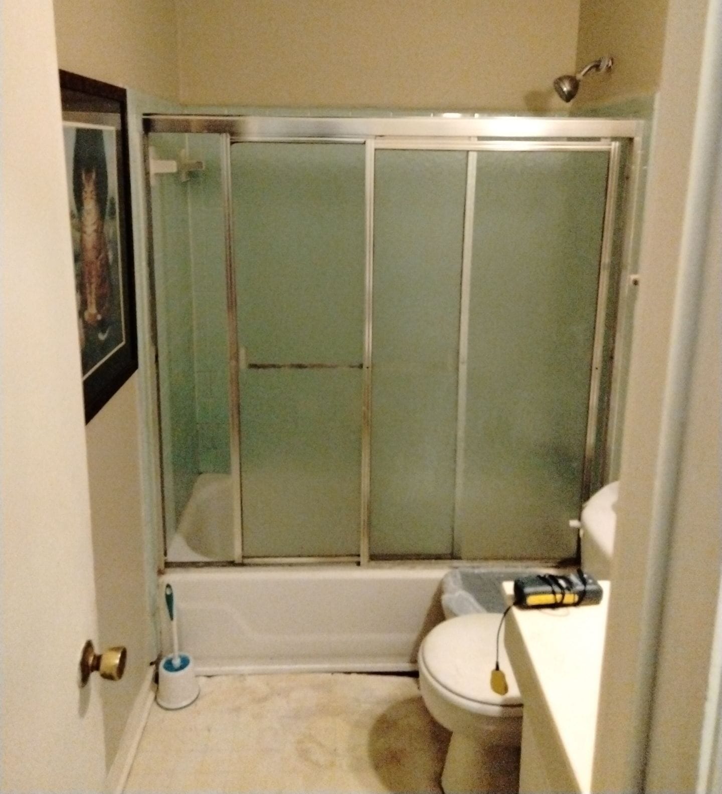 Before Bath Remodel