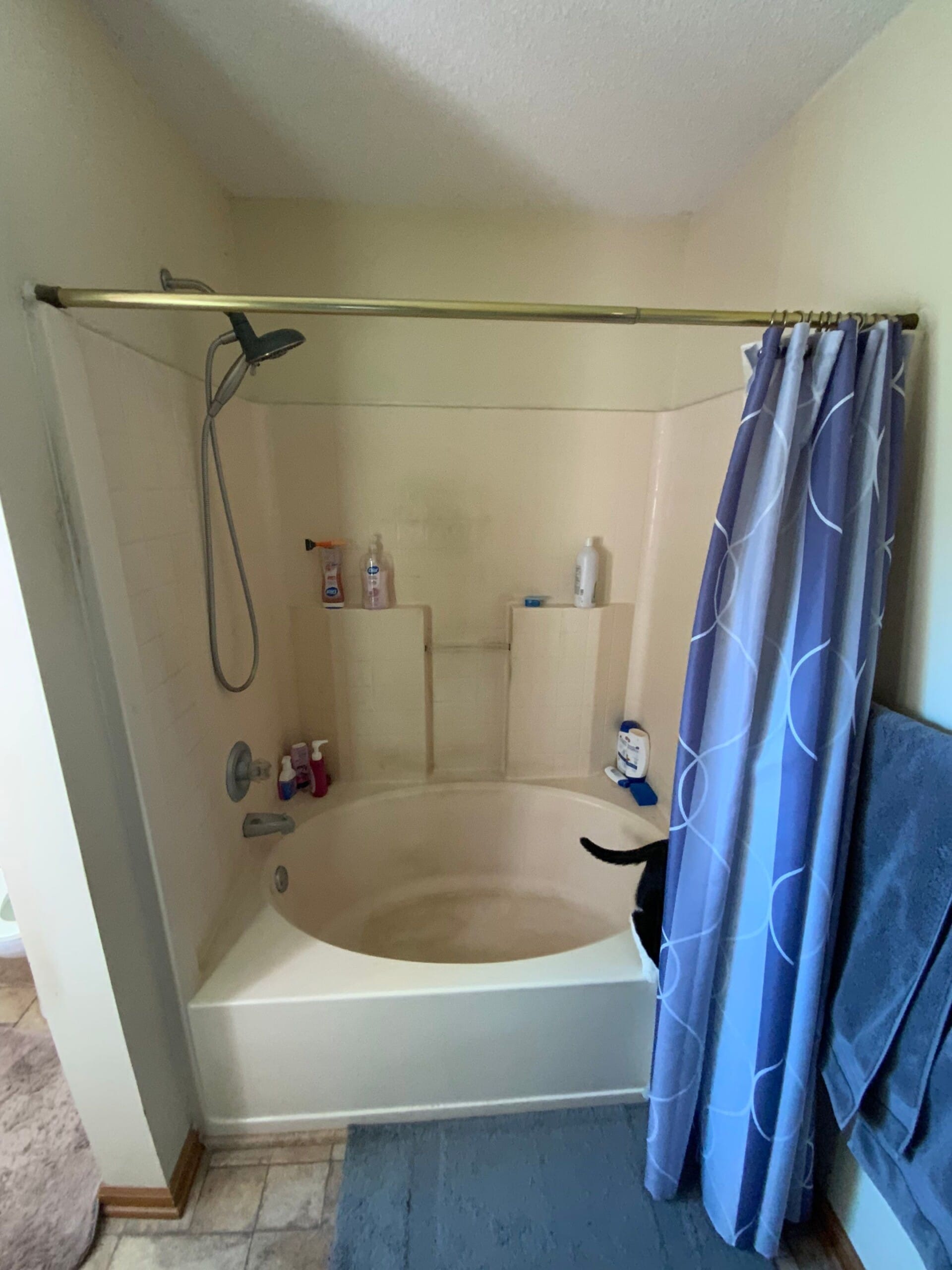 Before Bath Remodel