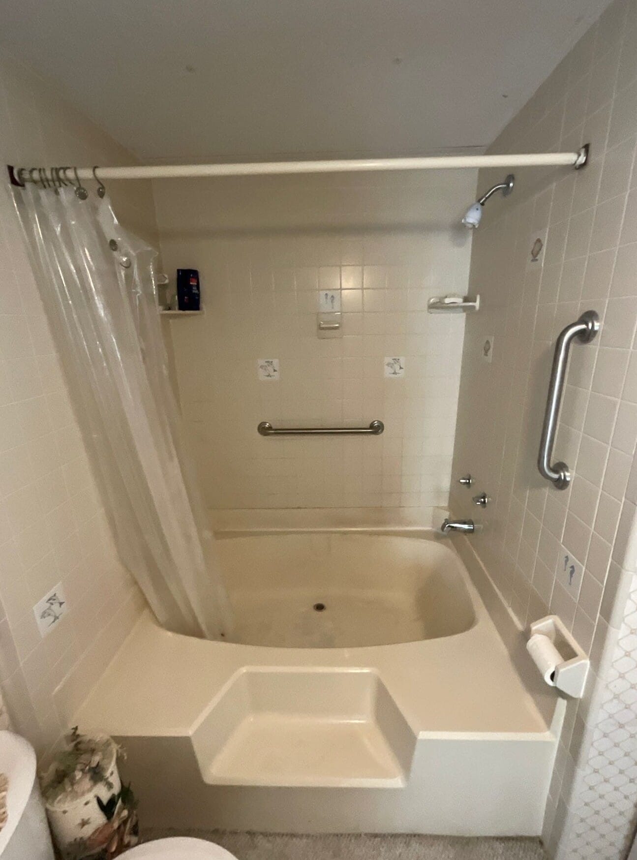 Before Bath Remodel
