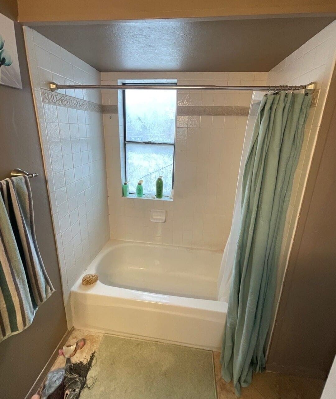 Before Bath Remodel