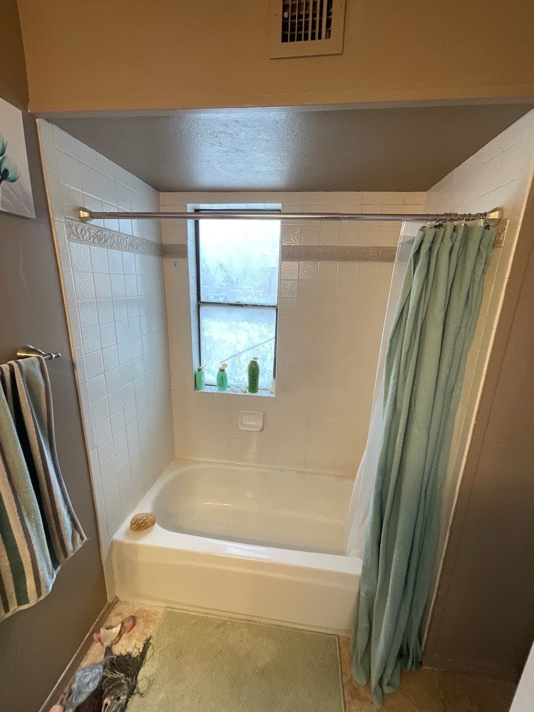 Before Bath Remodel