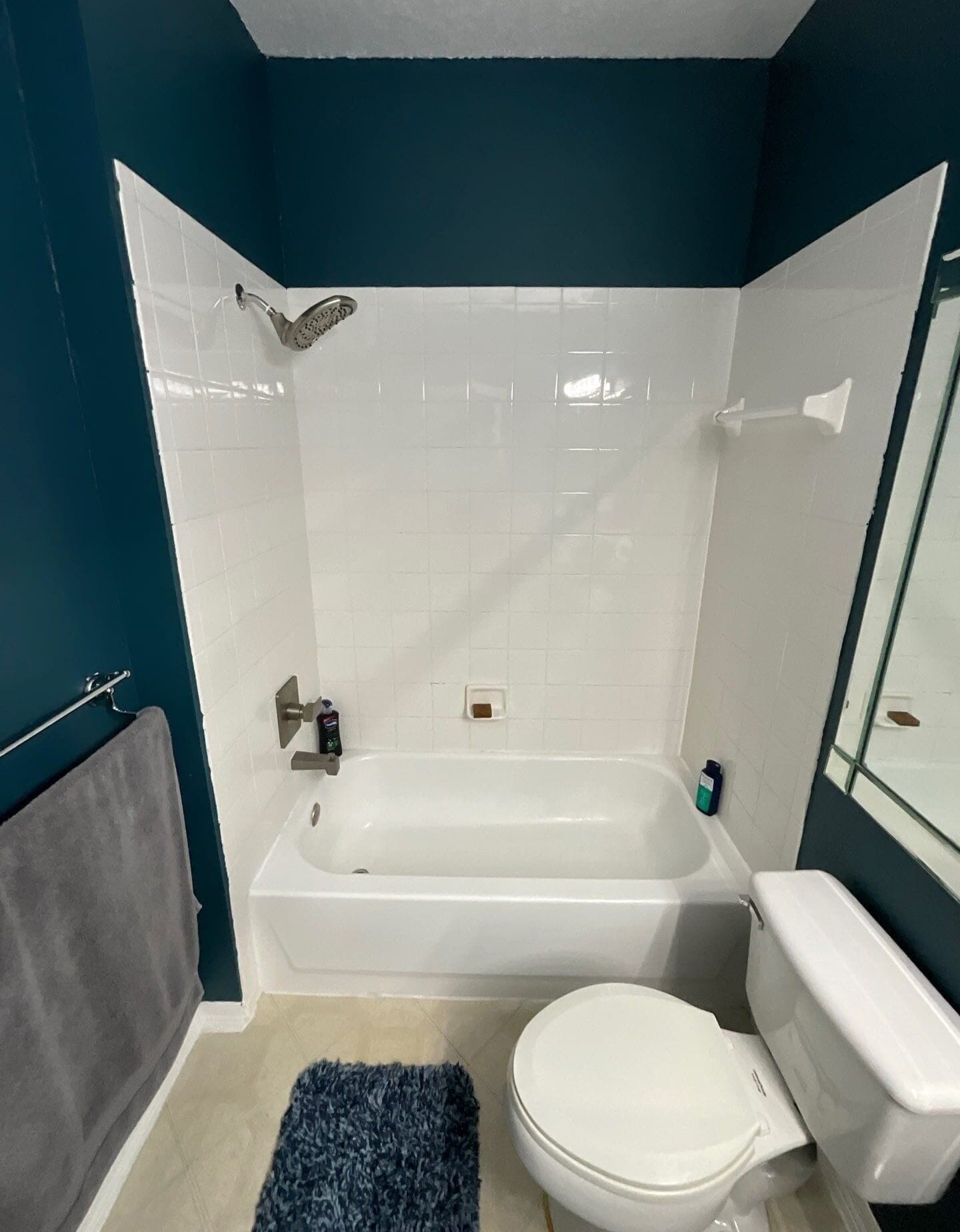 Before Bath Remodel