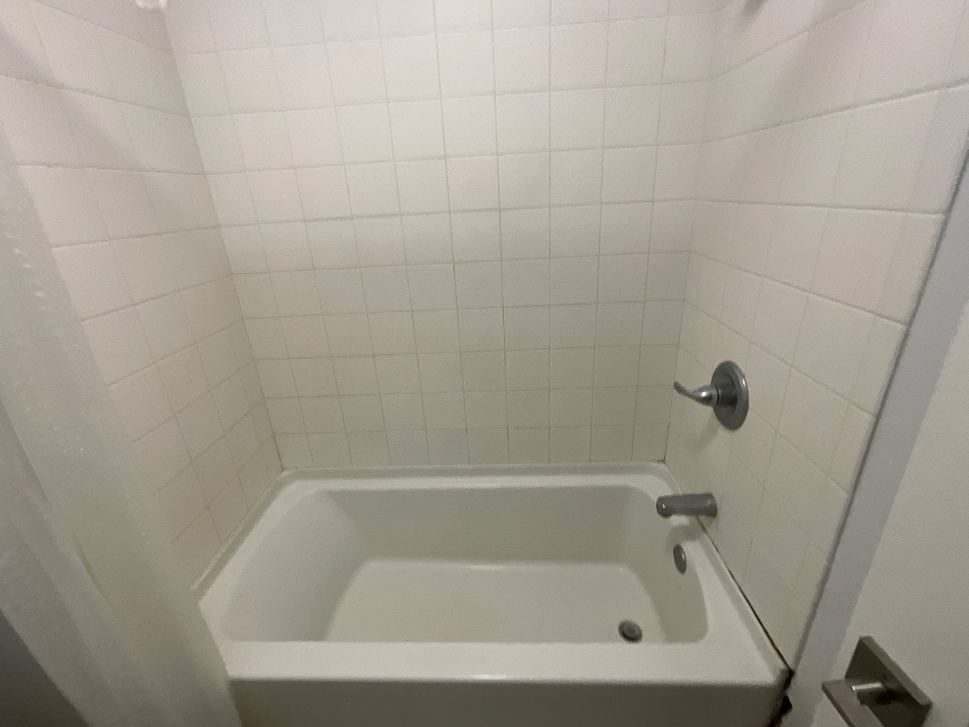 Before Bath Remodel