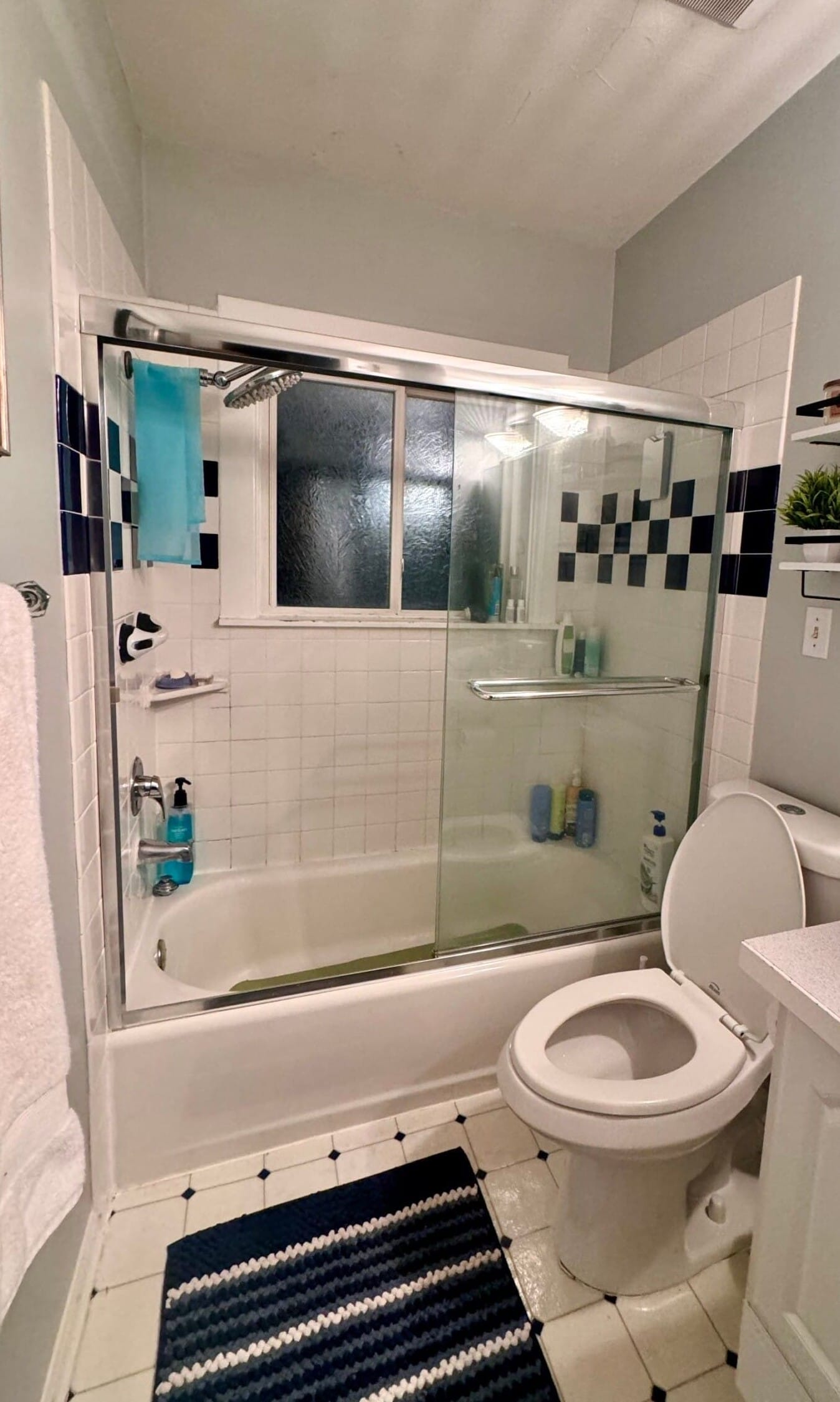 Before Bath Remodel