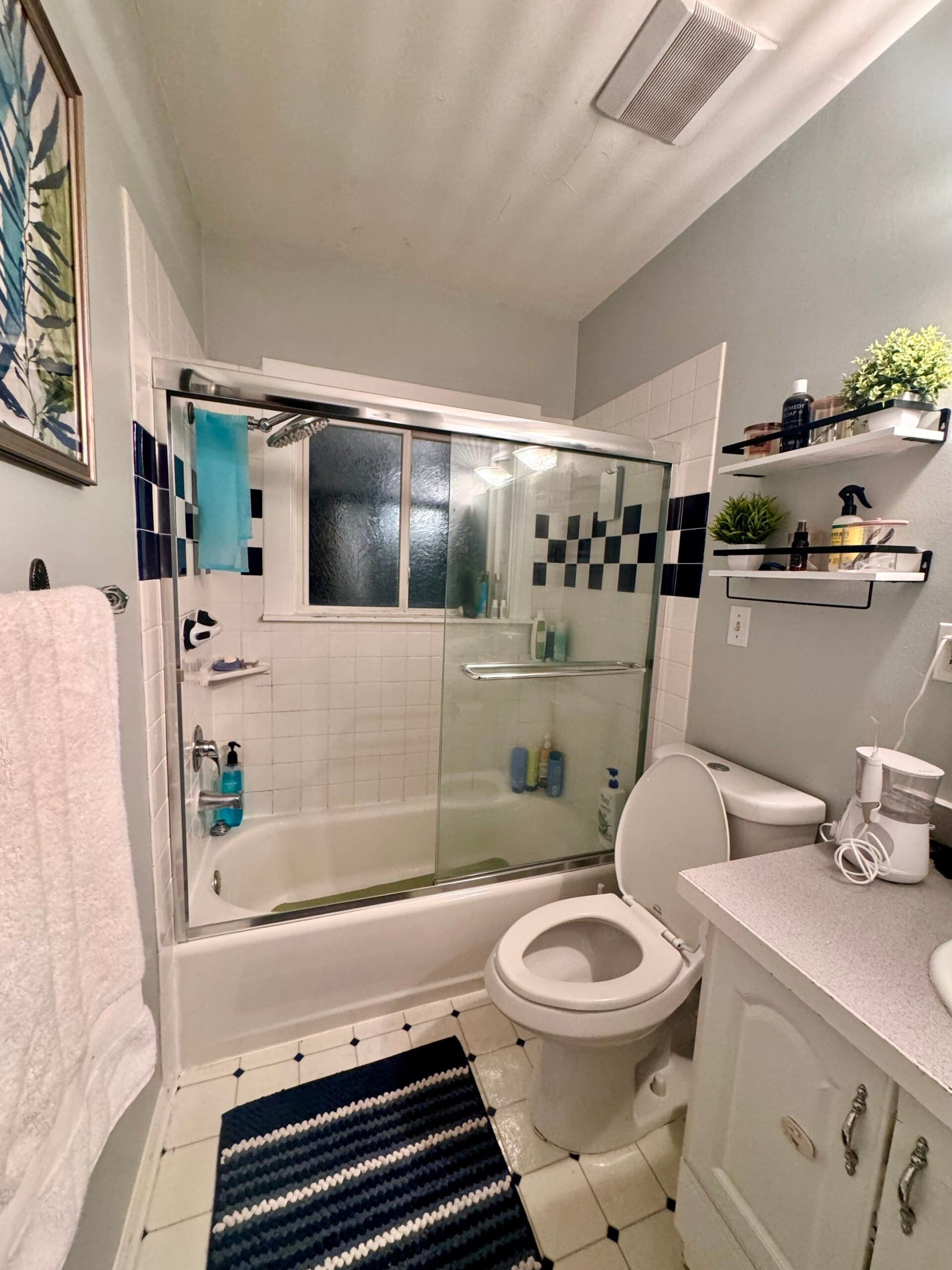 Before Bath Remodel