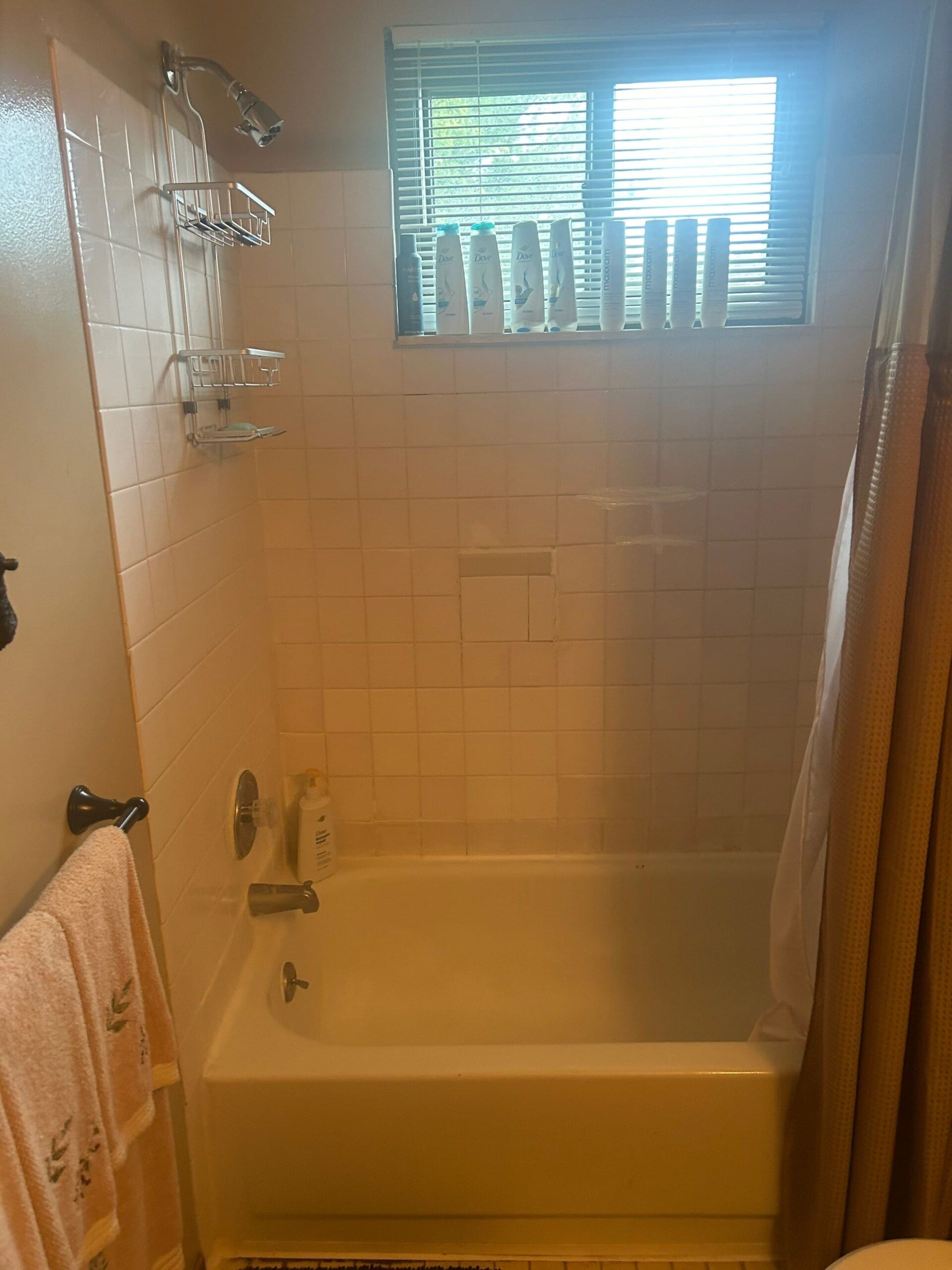 Before Bath Remodel