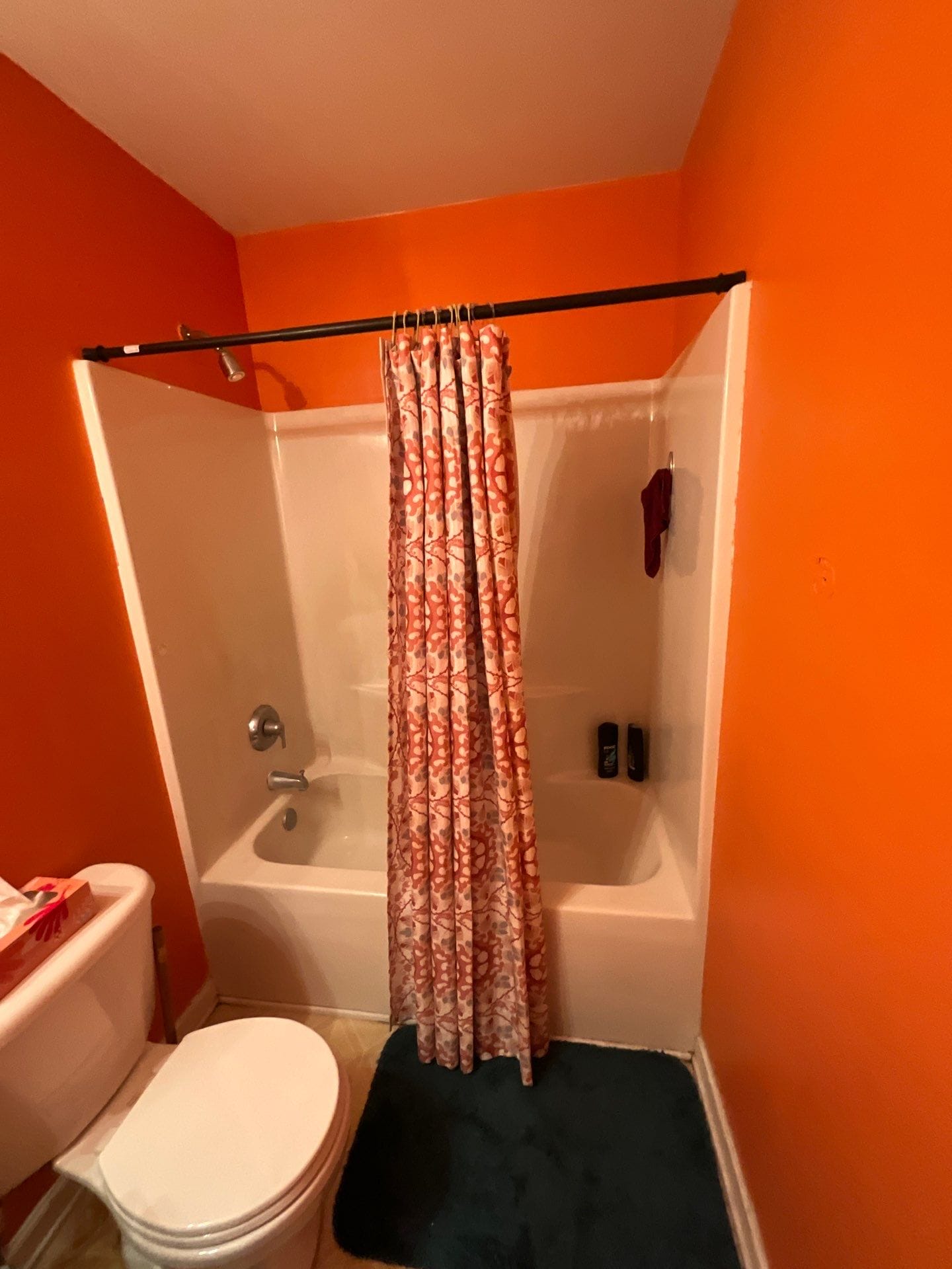 Before Bath Remodel