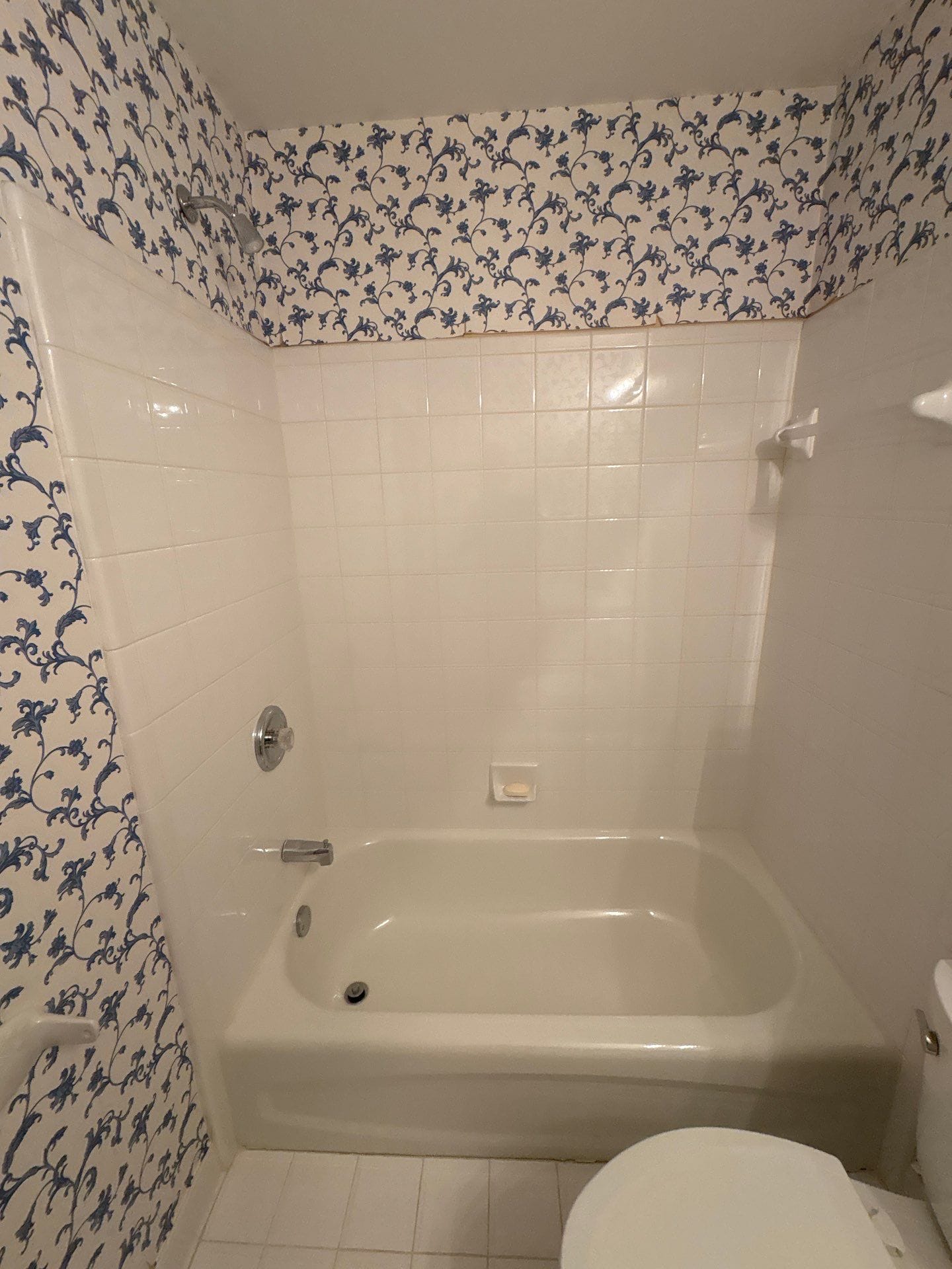 Before Bath Remodel