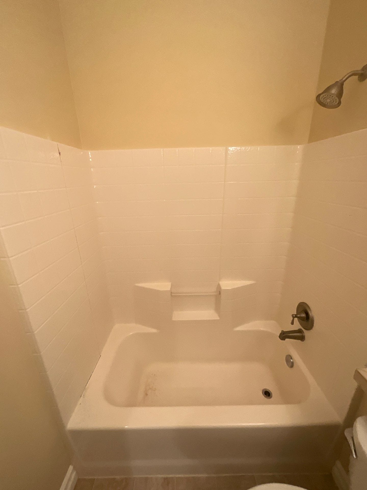 Before Bath Remodel