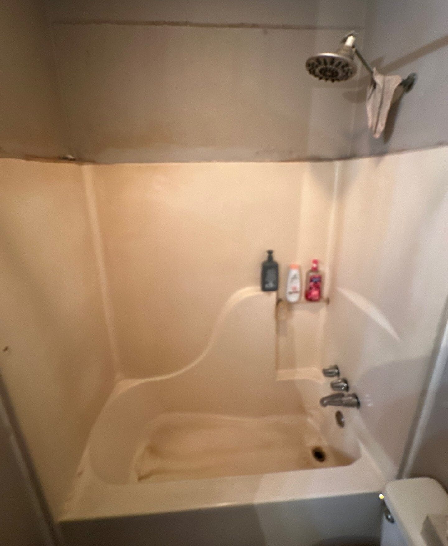 Before Bath Remodel