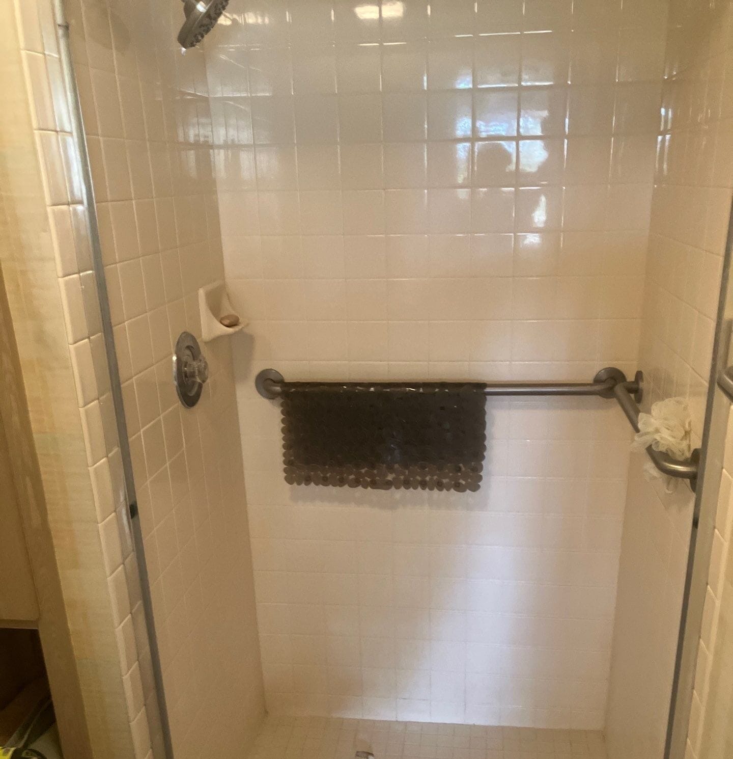 Before Bath Remodel