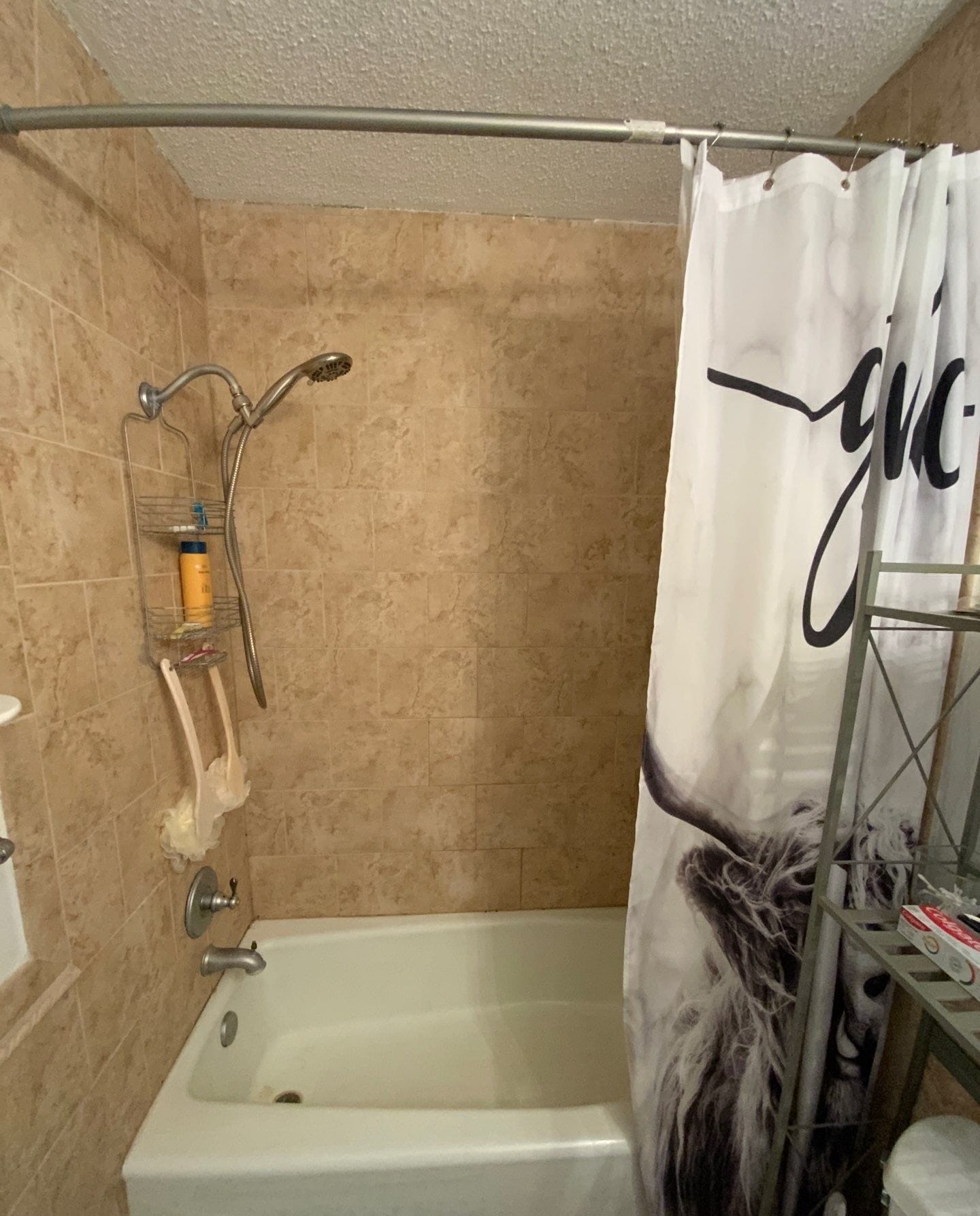 Before Bath Remodel