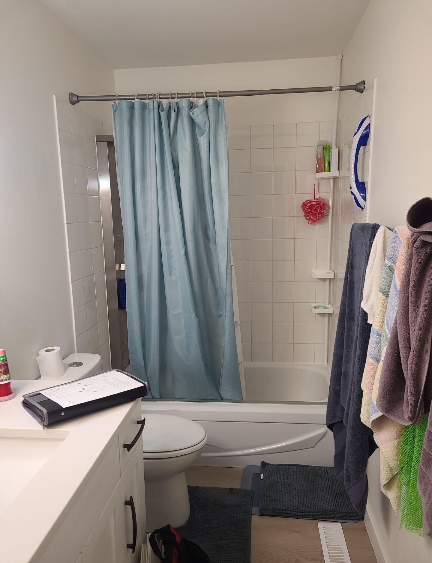 Before Bath Remodel