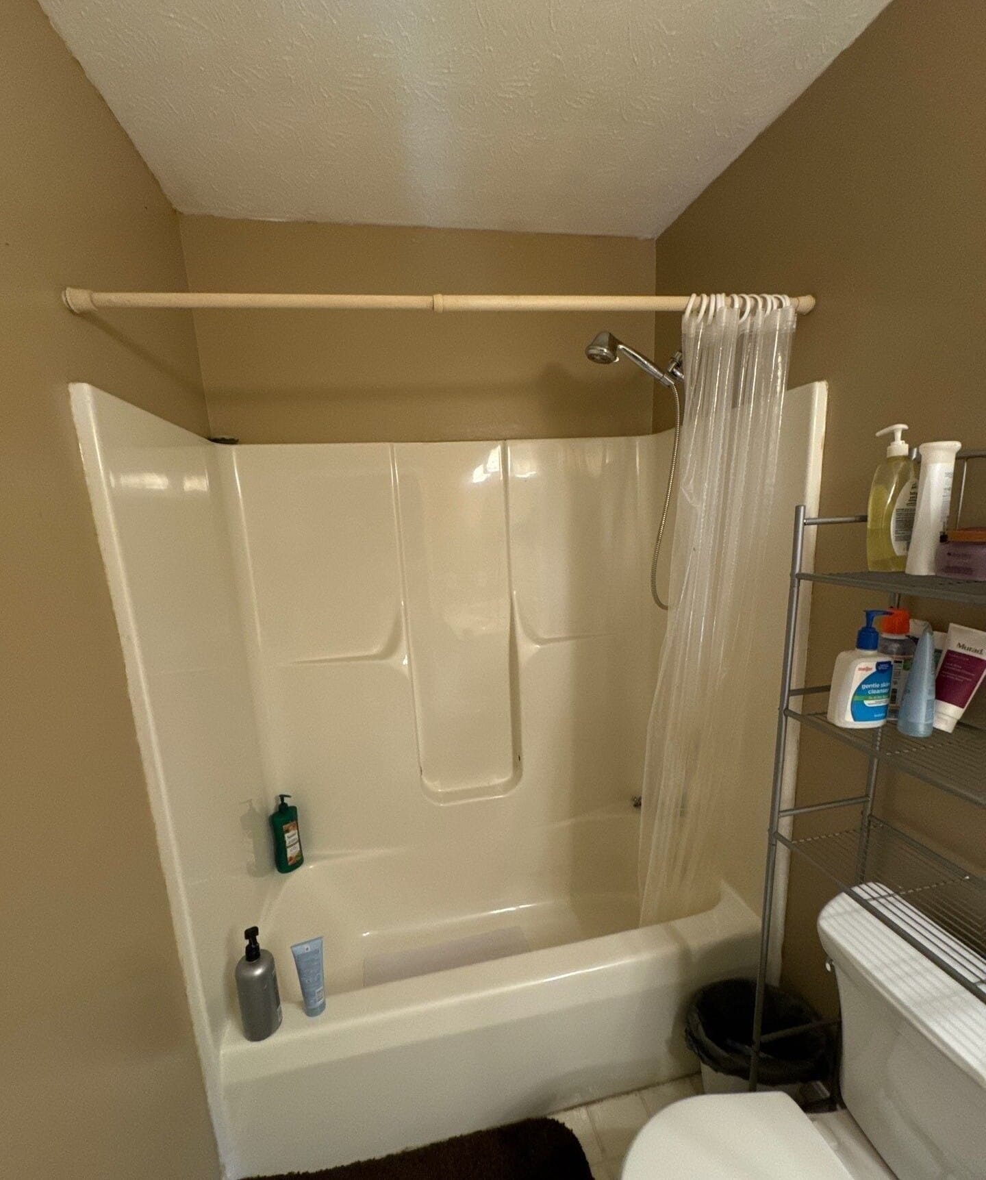 Before Bath Remodel
