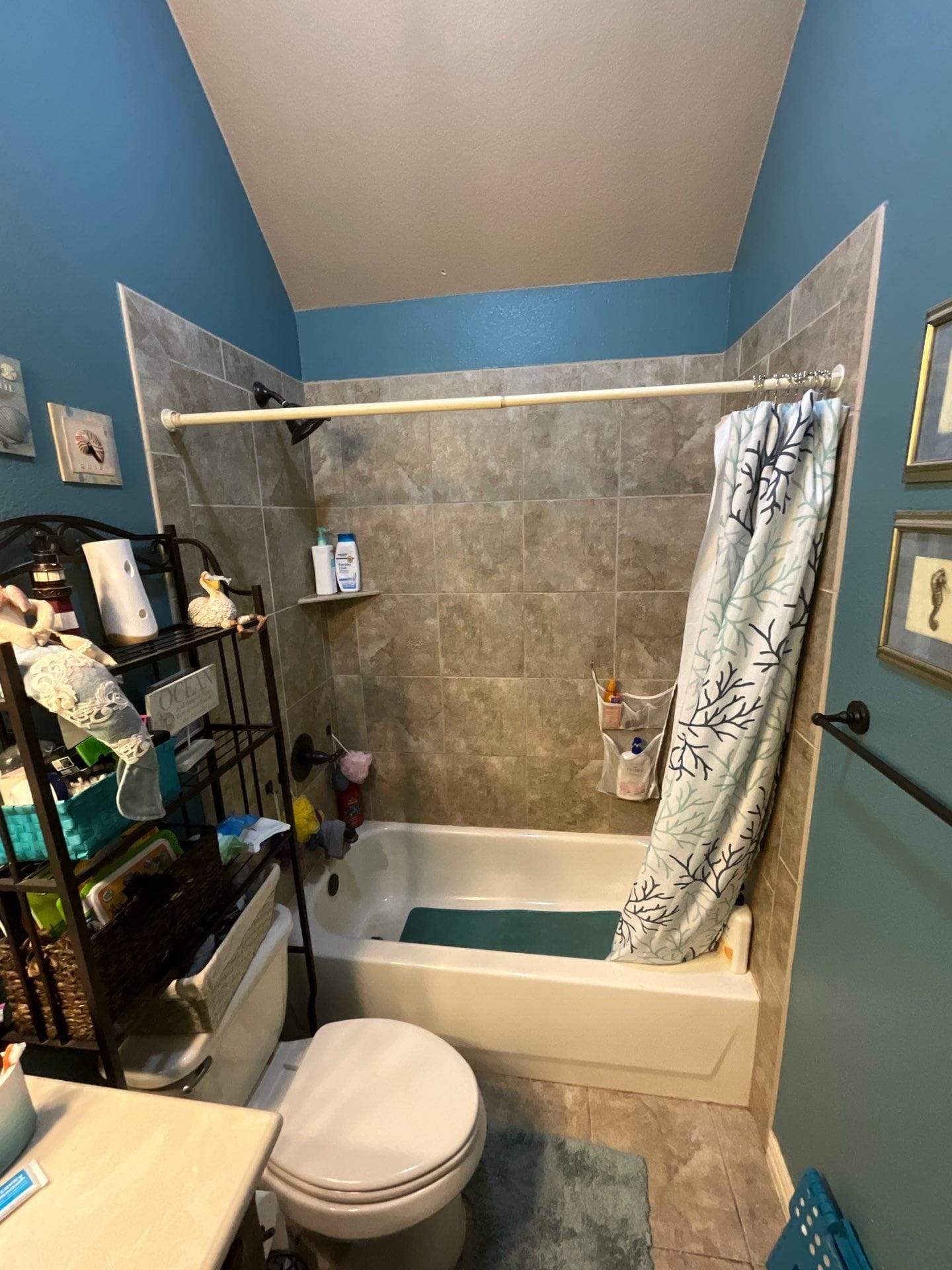 Before Bath Remodel