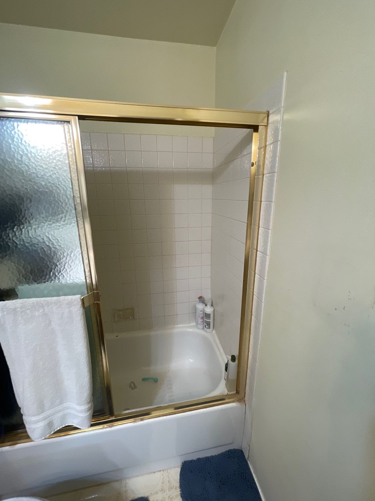 Before Bath Remodel