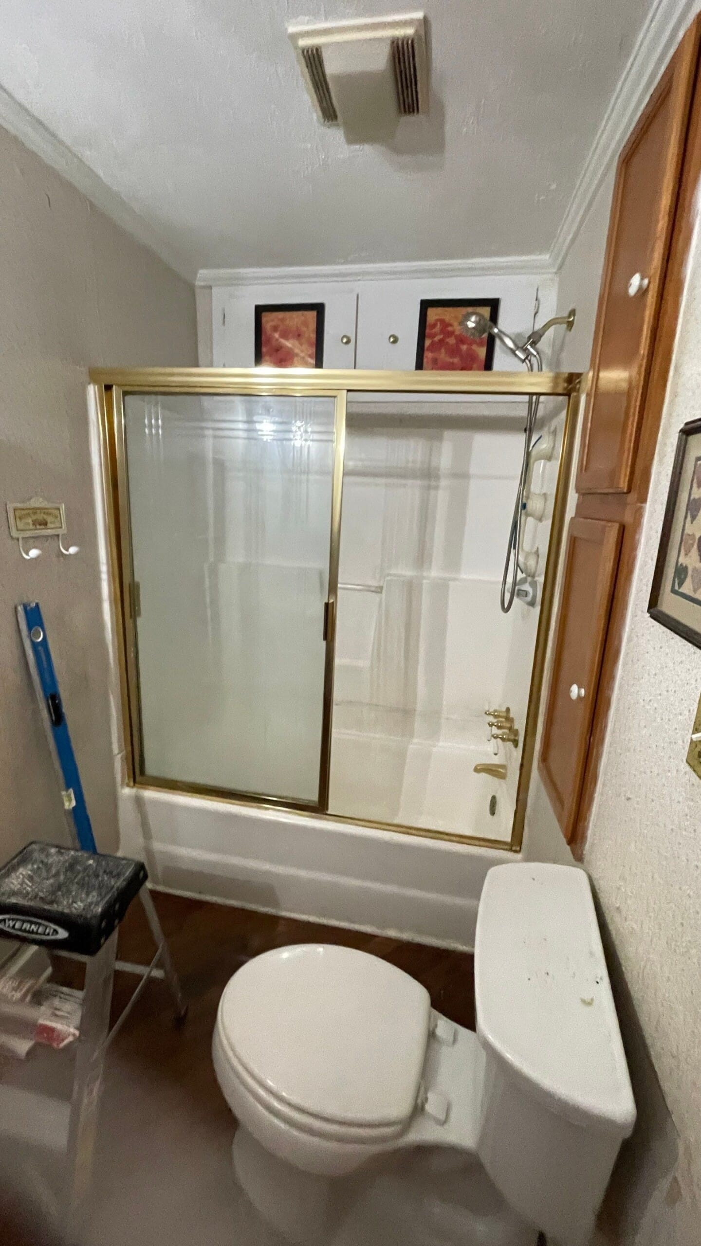 Before Bath Remodel