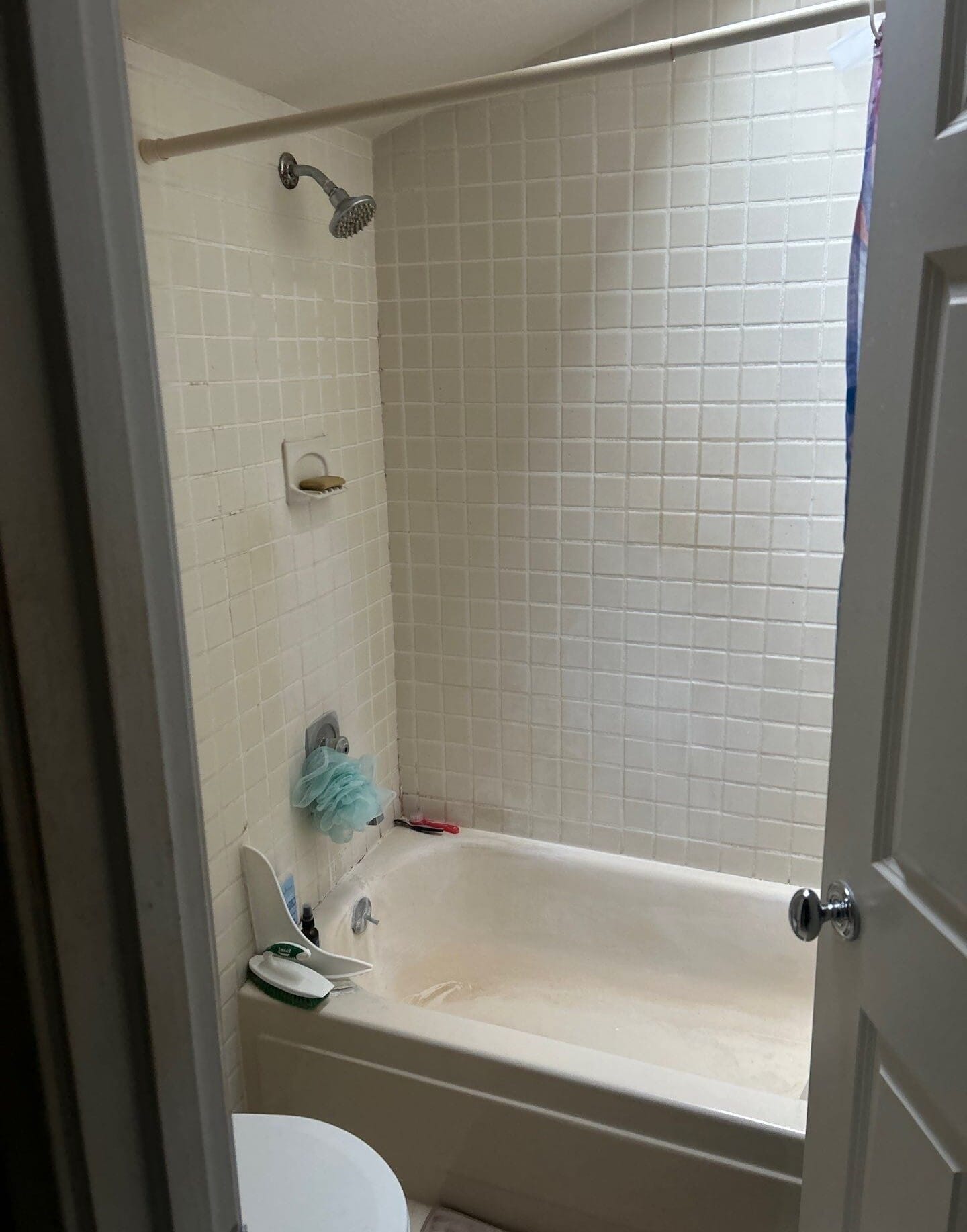 Before Bath Remodel