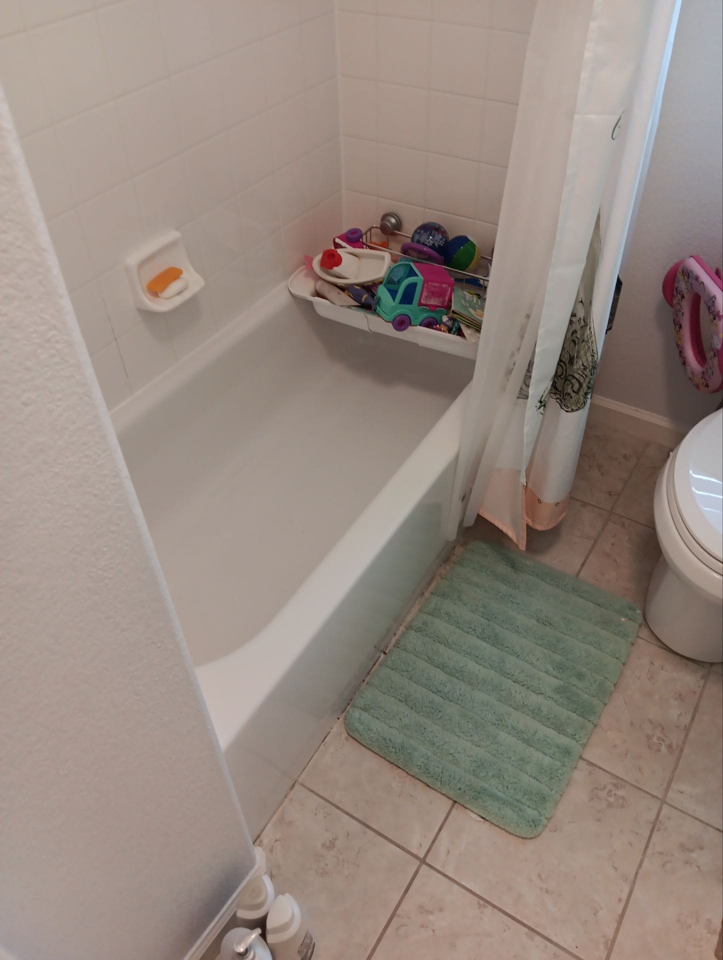 Before Bath Remodel