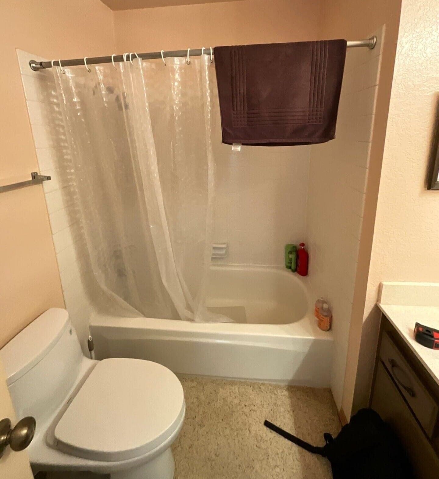 Before Bath Remodel