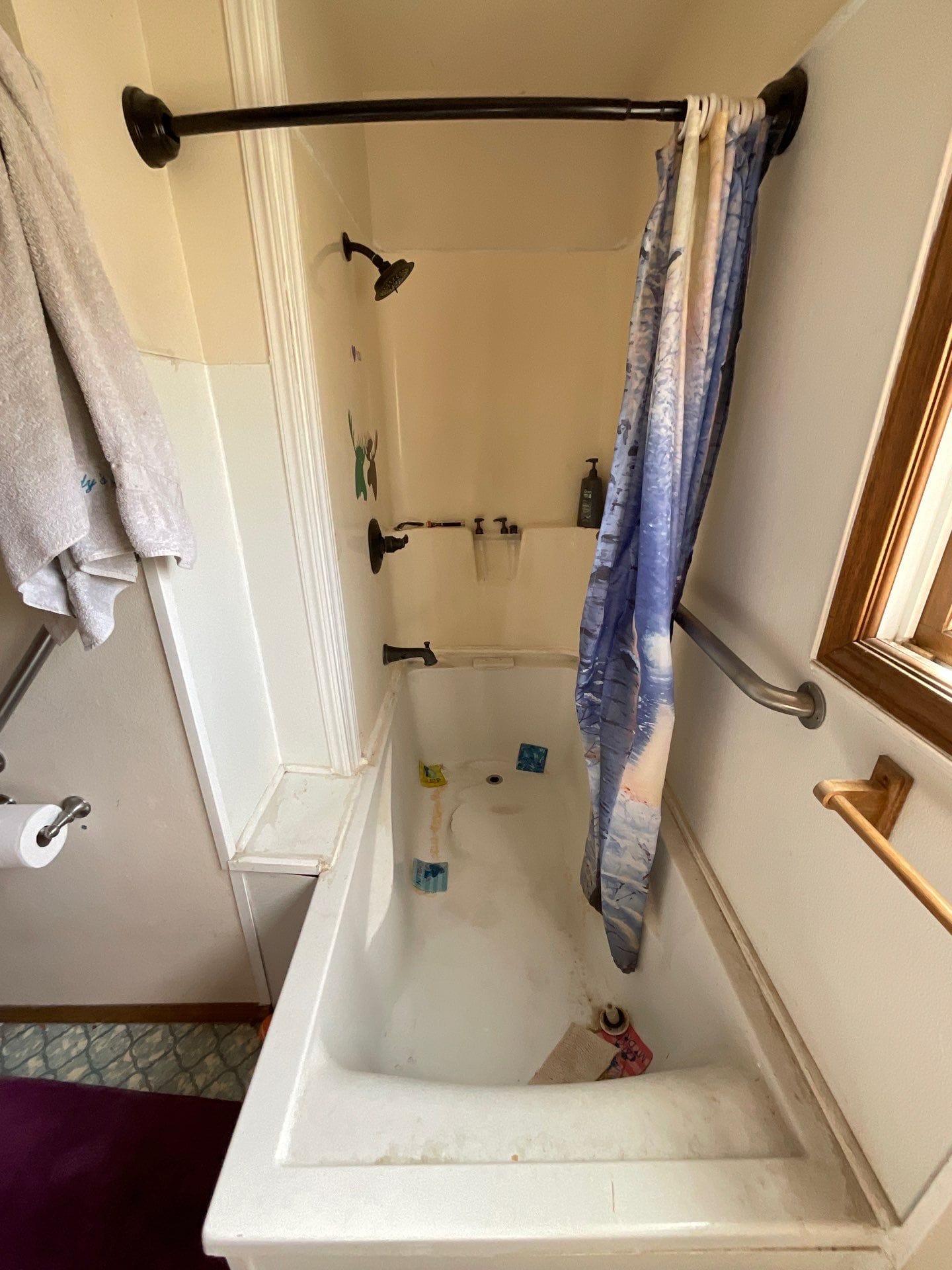 Before Bath Remodel