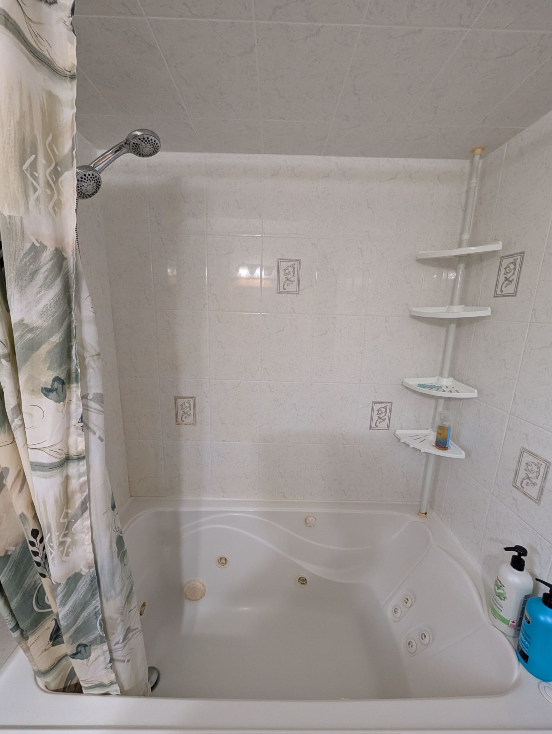 Before Bath Remodel