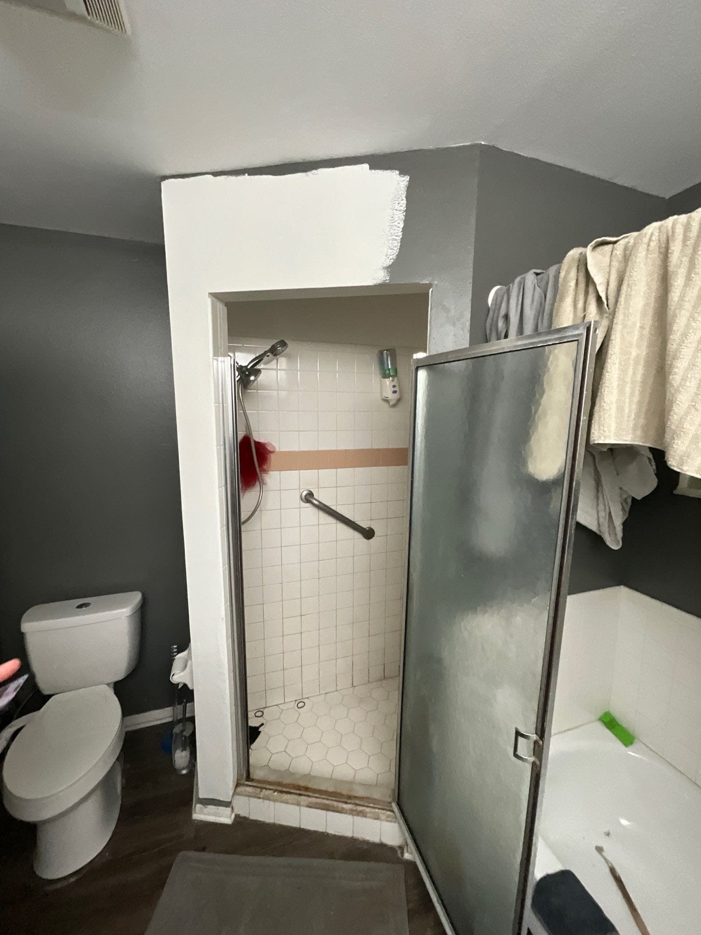 Before Bath Remodel
