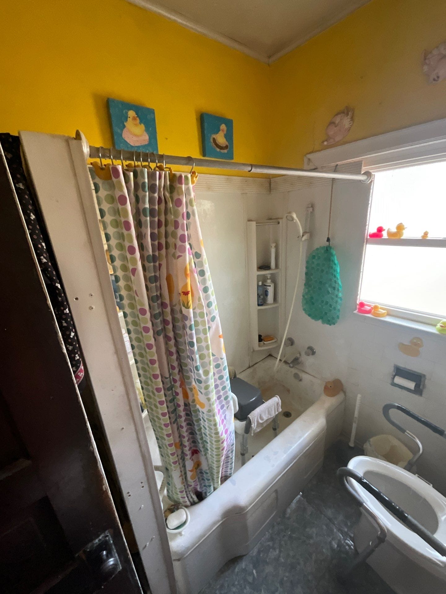 Before Bath Remodel