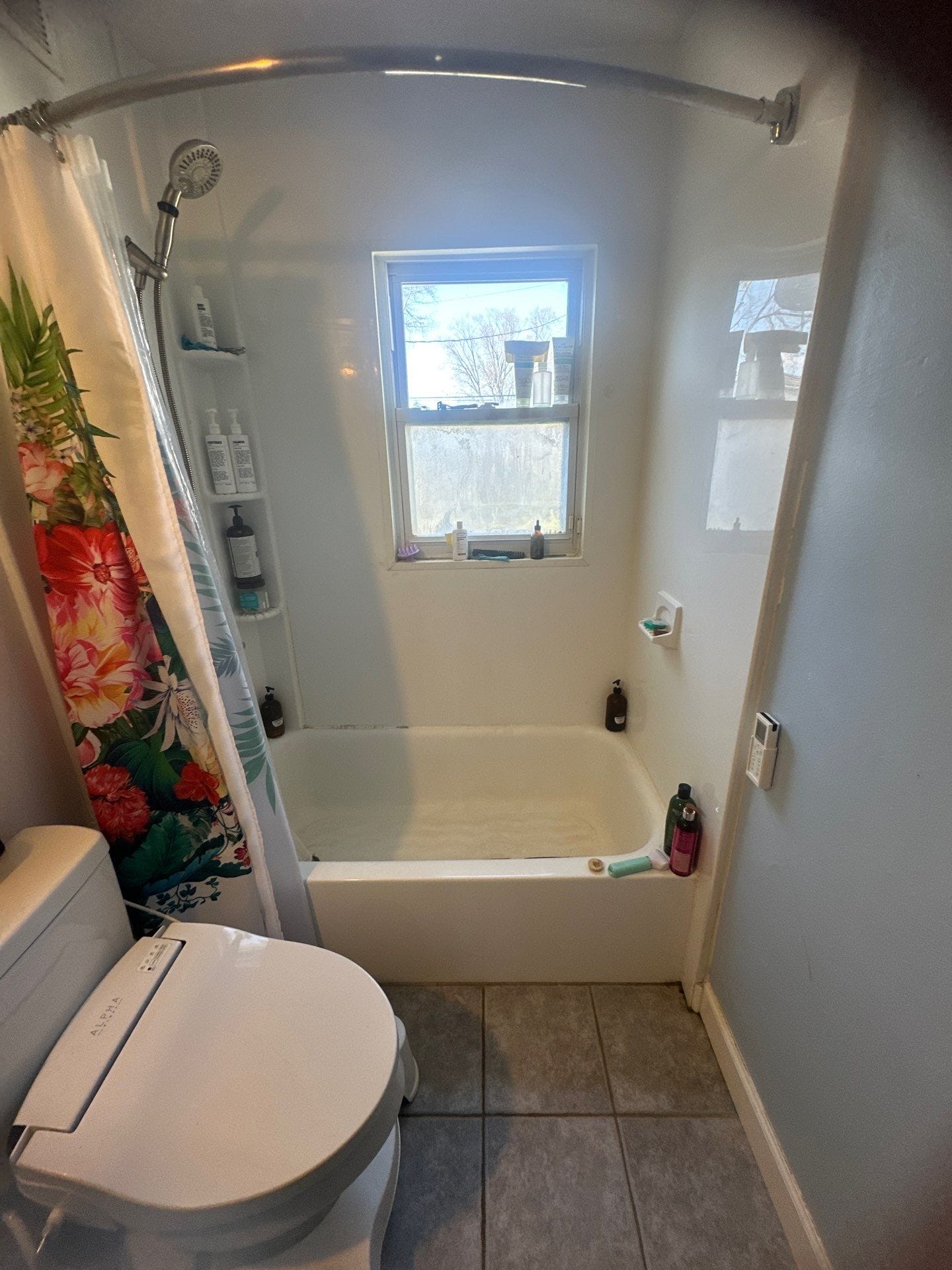 Before Bath Remodel