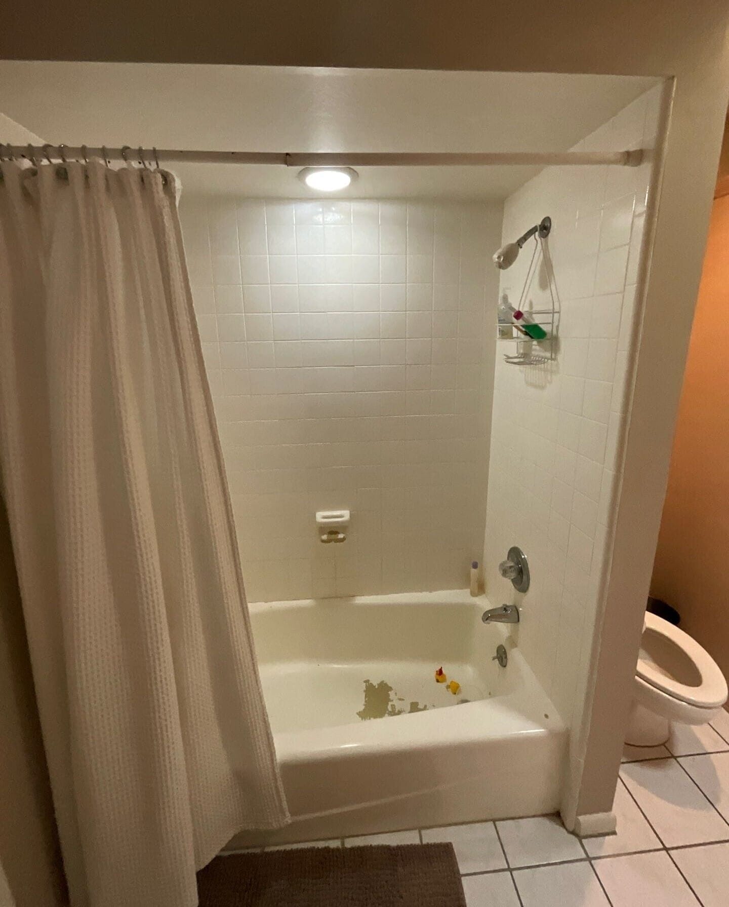Before Bath Remodel