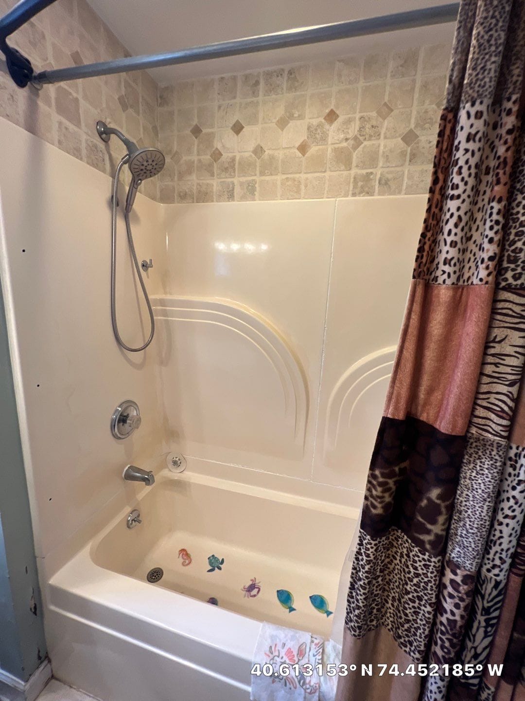 Before Bath Remodel