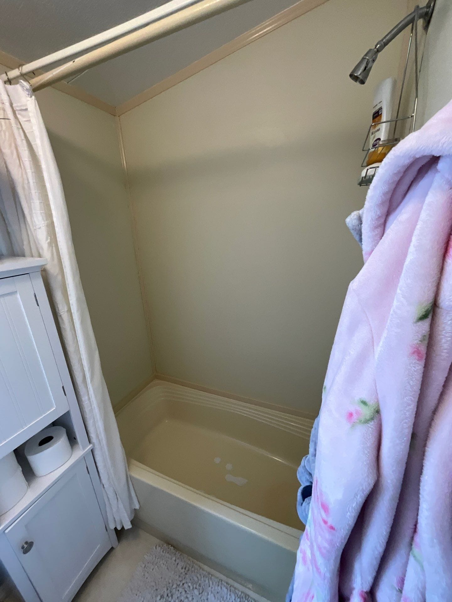 Before Bath Remodel
