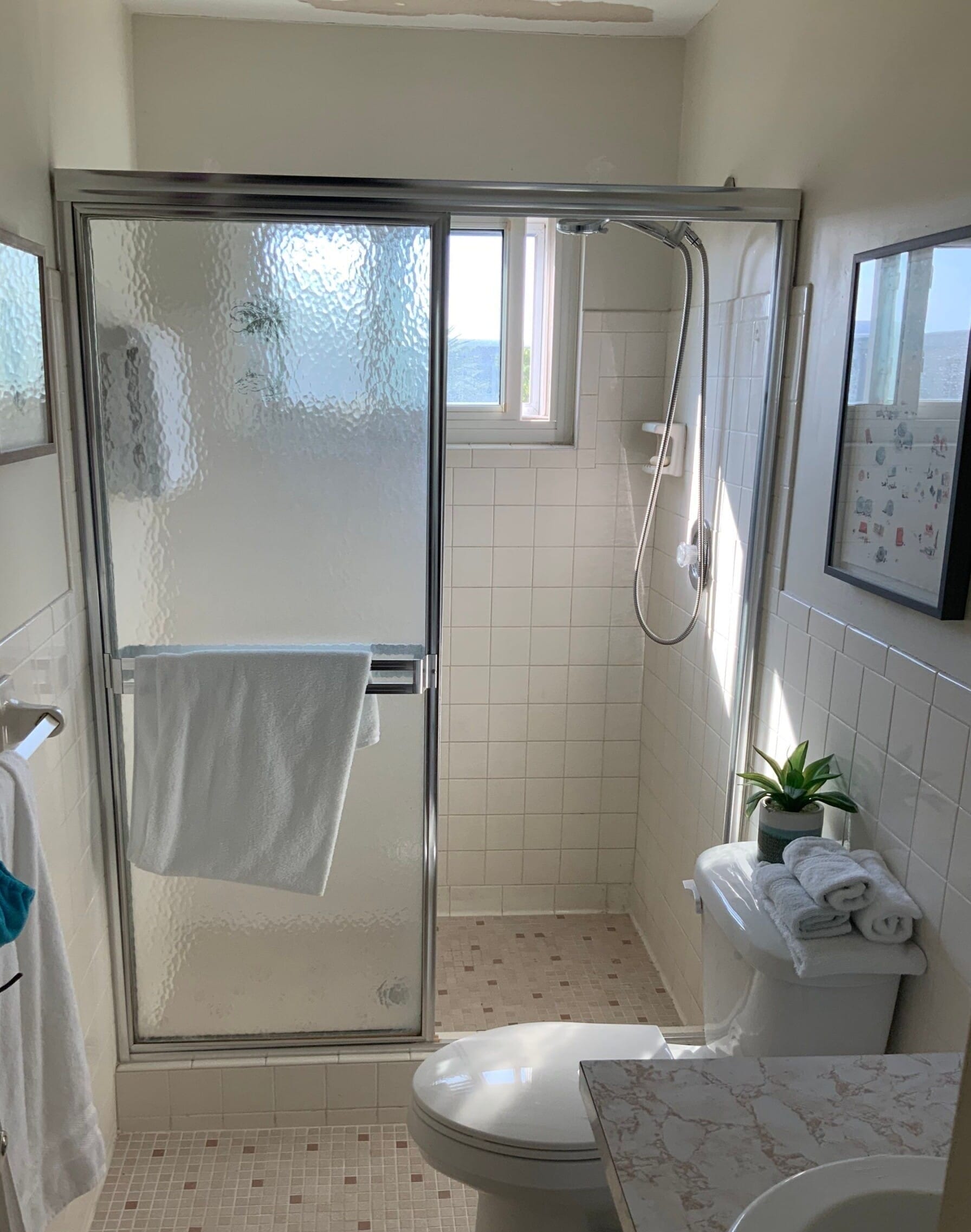 Before Bath Remodel