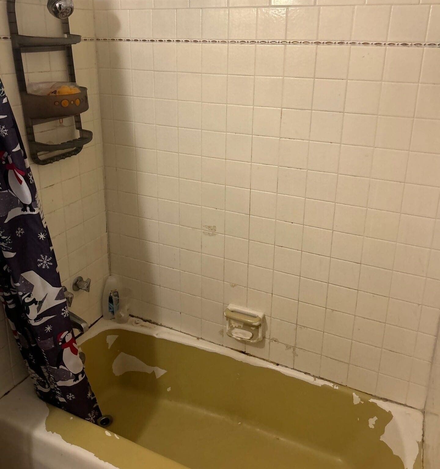 Before Bath Remodel