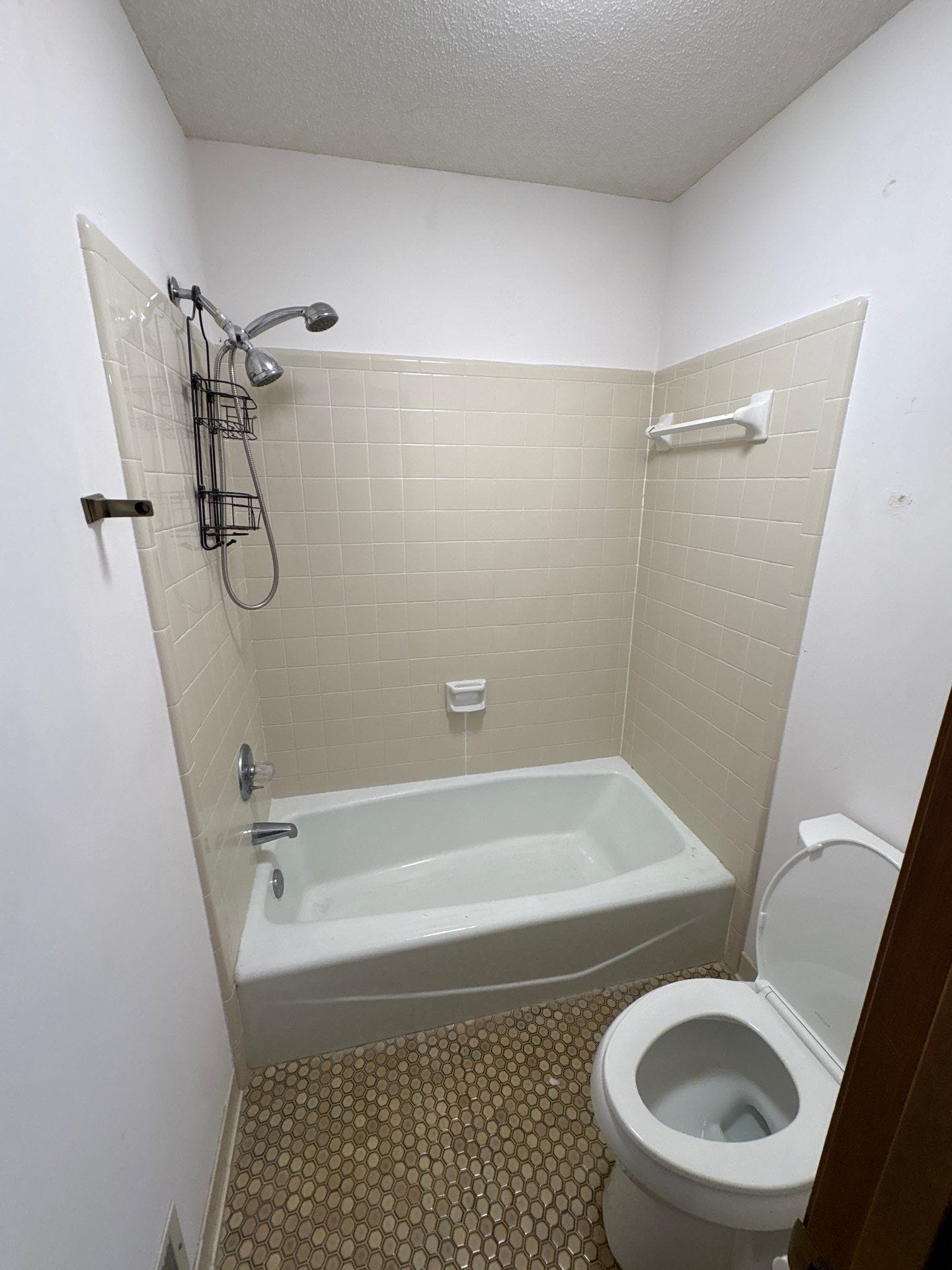 Before Bath Remodel