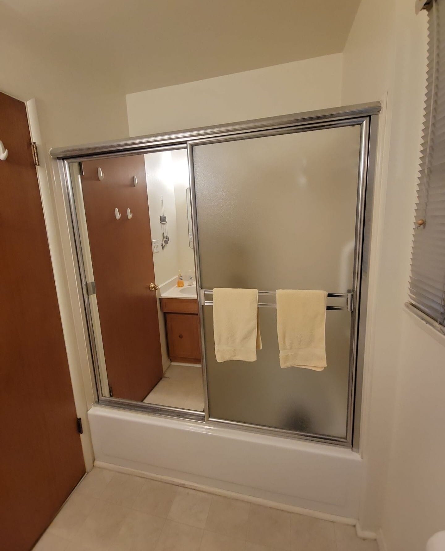 Before Bath Remodel