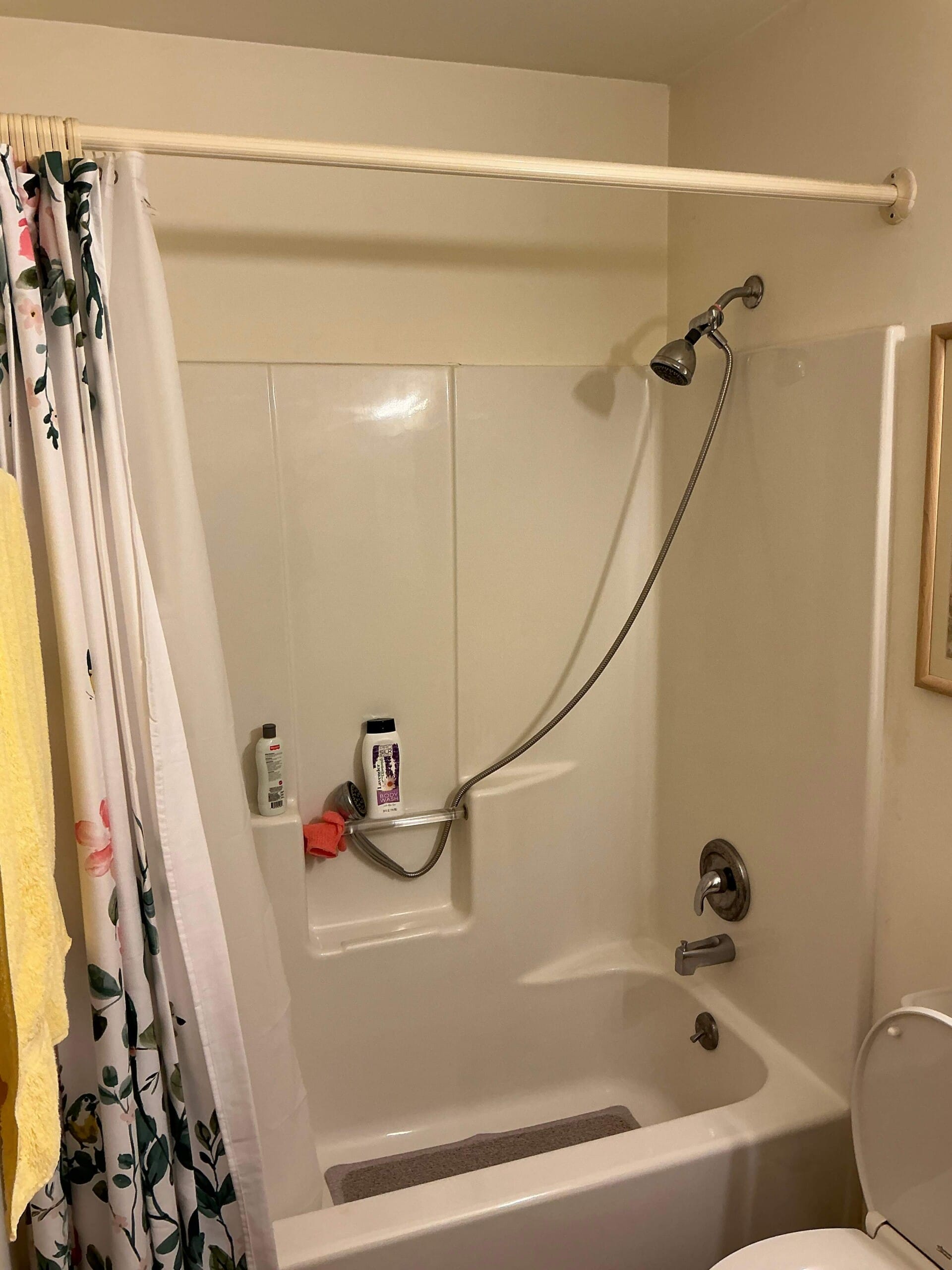 Before Bath Remodel