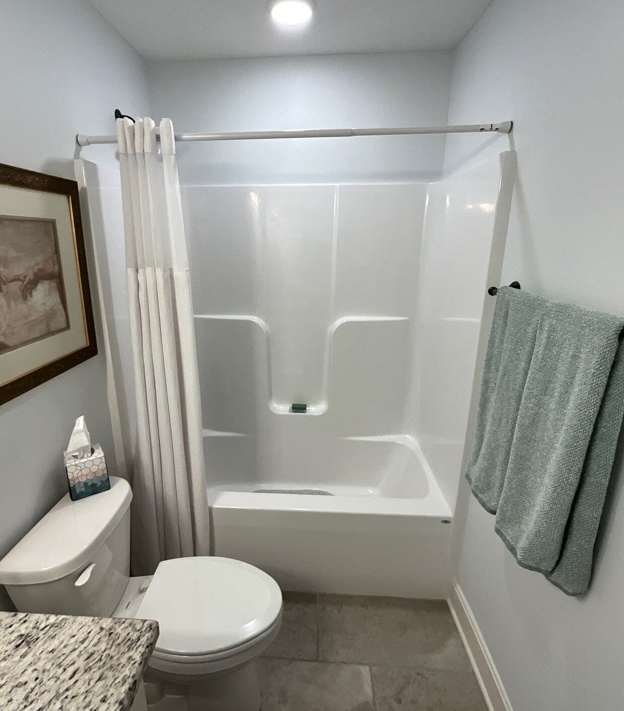 Before Bath Remodel