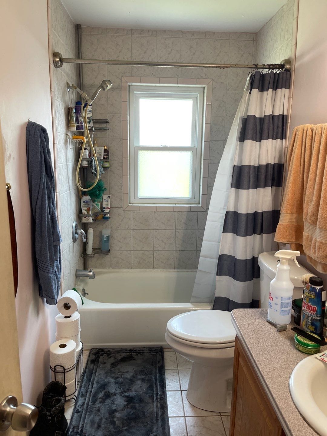 Before Bath Remodel