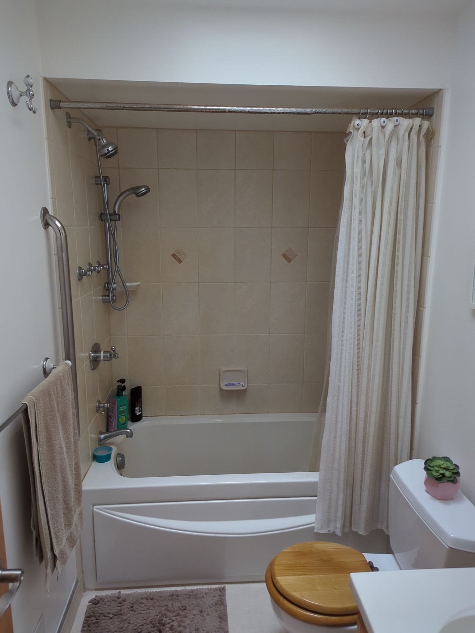 Before Bath Remodel