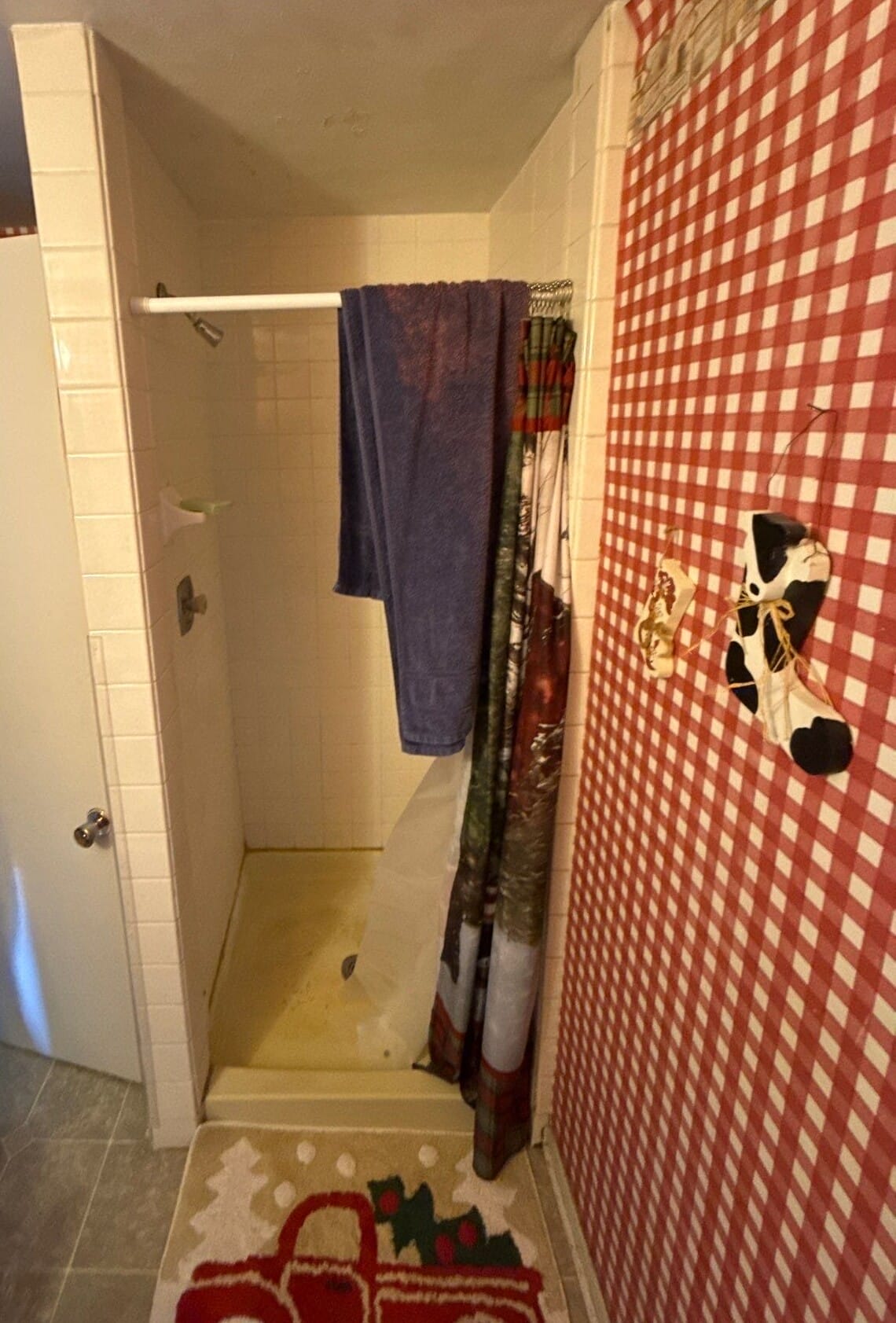 Before Bath Remodel
