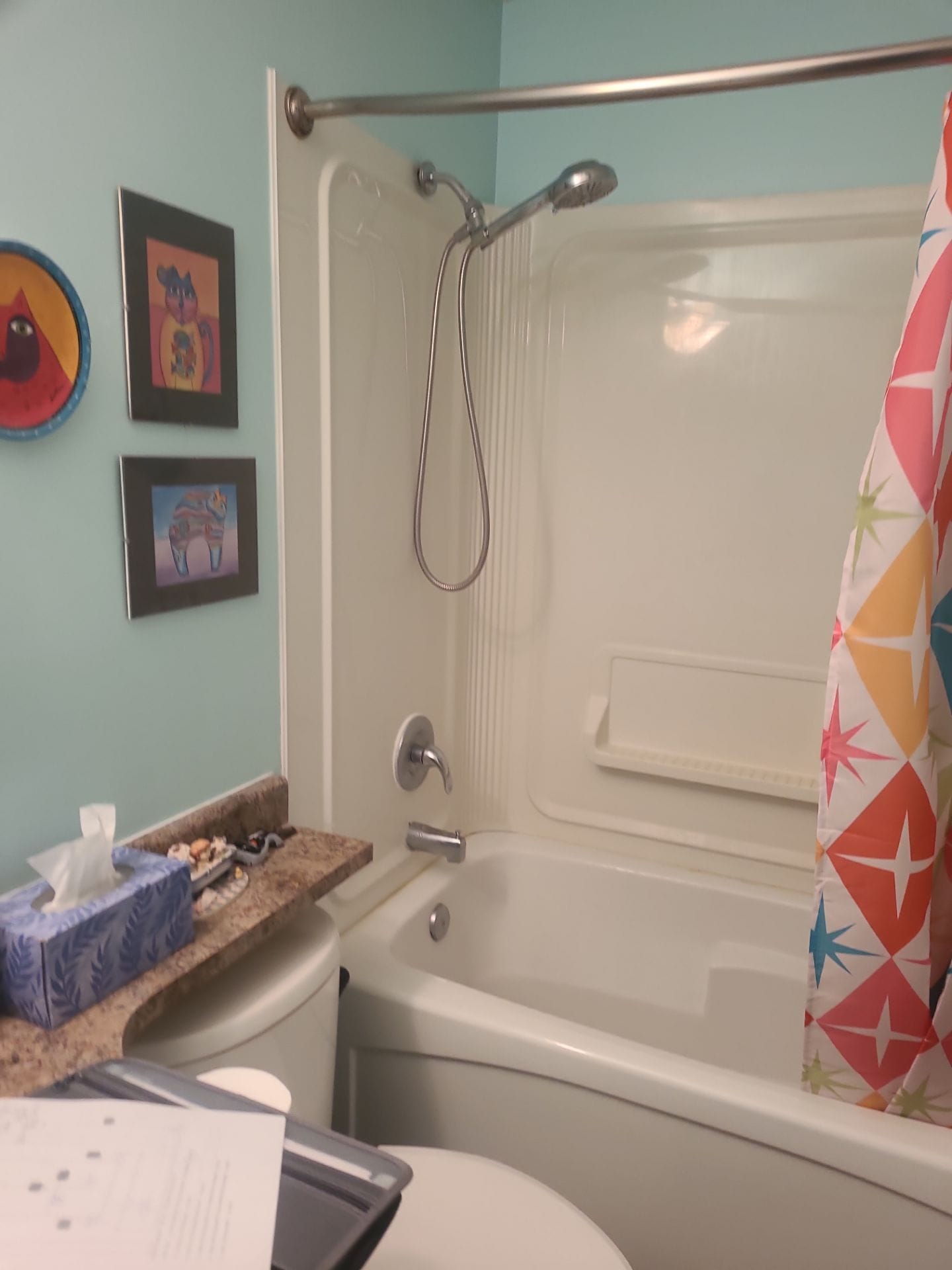 Before Bath Remodel