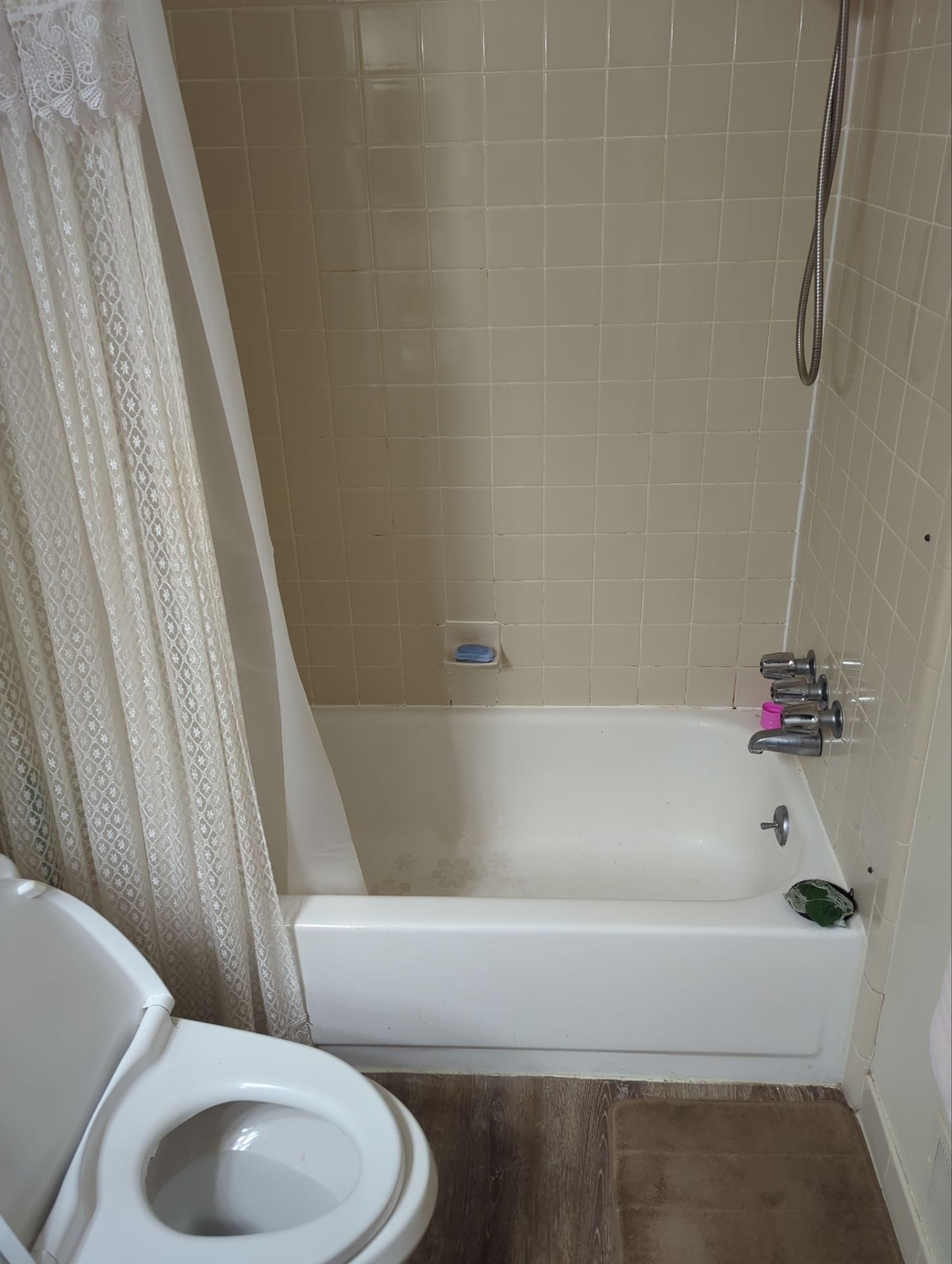 Before Bath Remodel