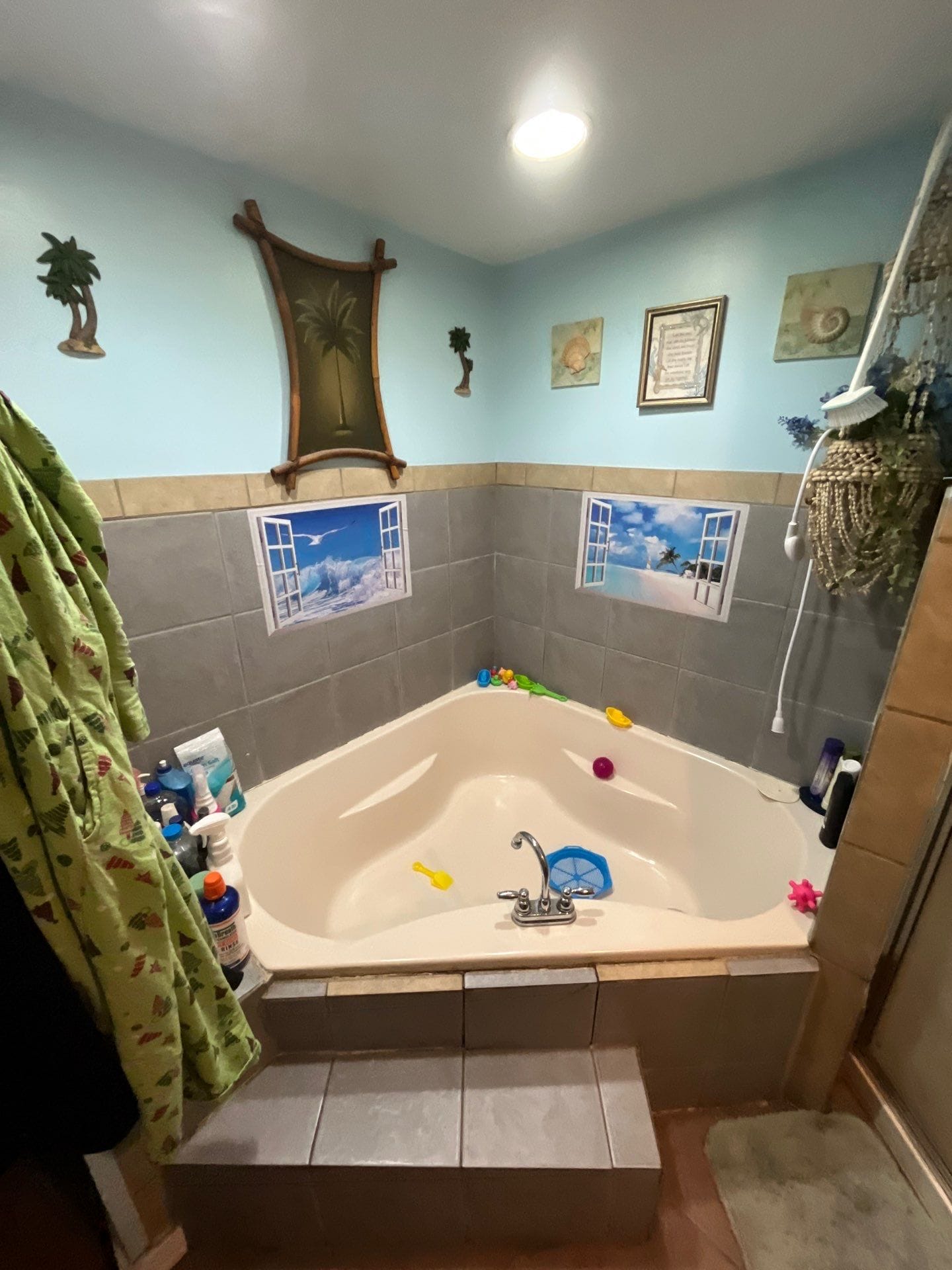 Before Bath Remodel
