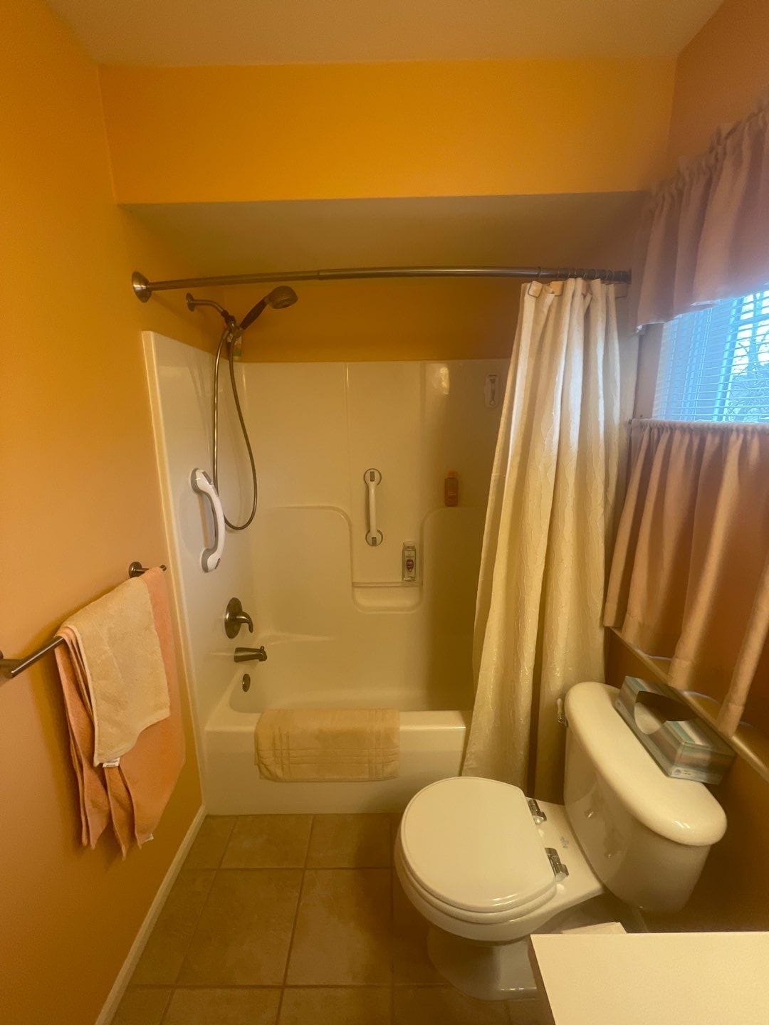 Before Bath Remodel