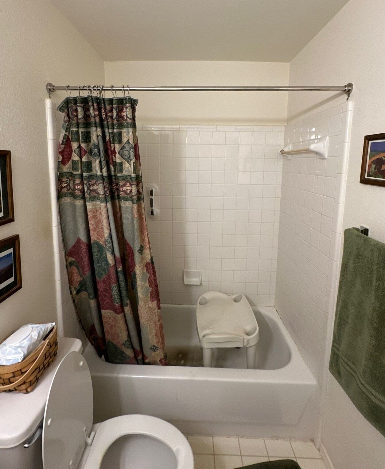 Before Bath Remodel