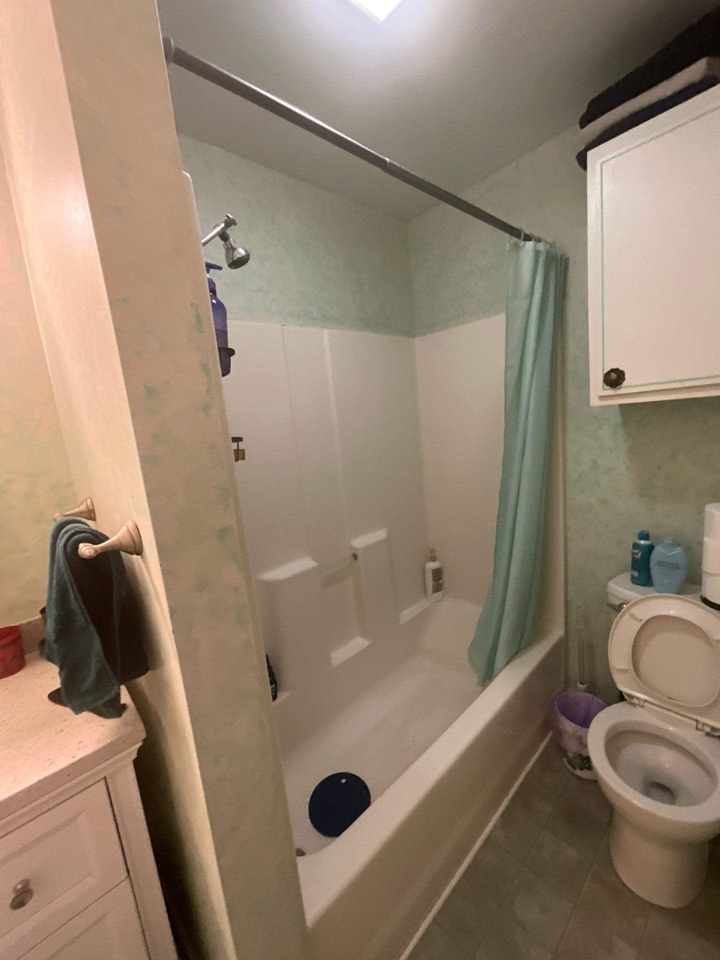 Before Bath Remodel